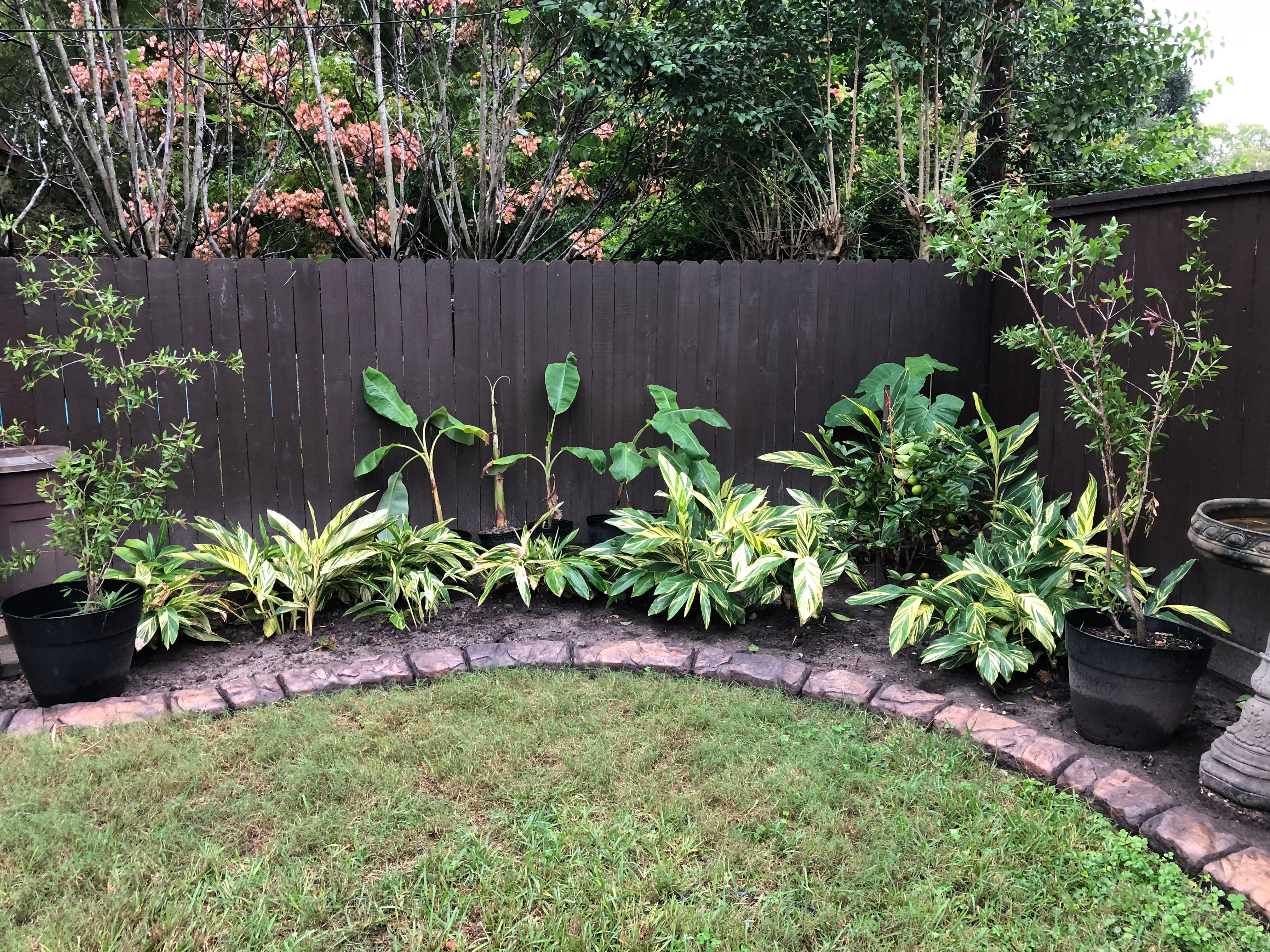  for Texas Curb N Borders in Houston, TX