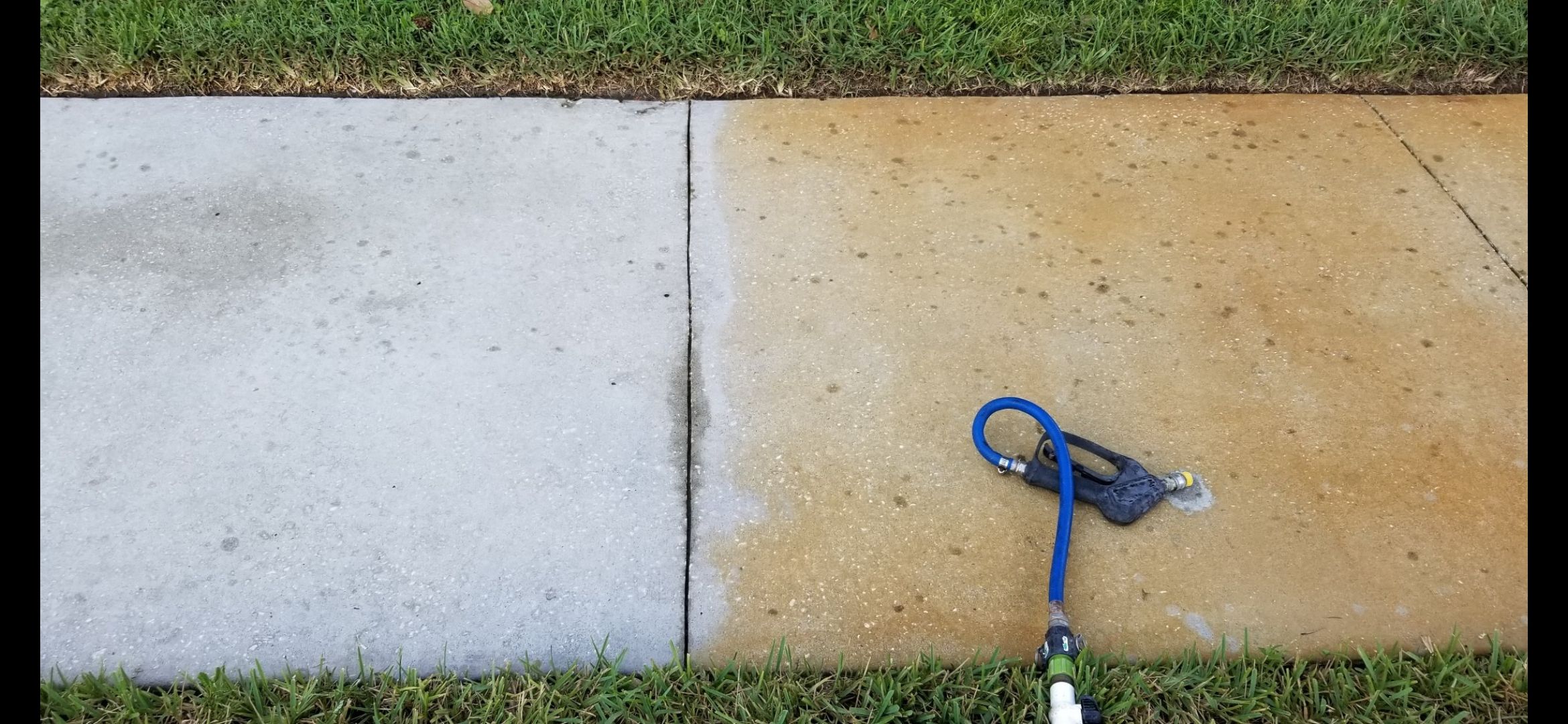  for Blue Stream Roof Cleaning & Pressure Washing in Tampa, FL