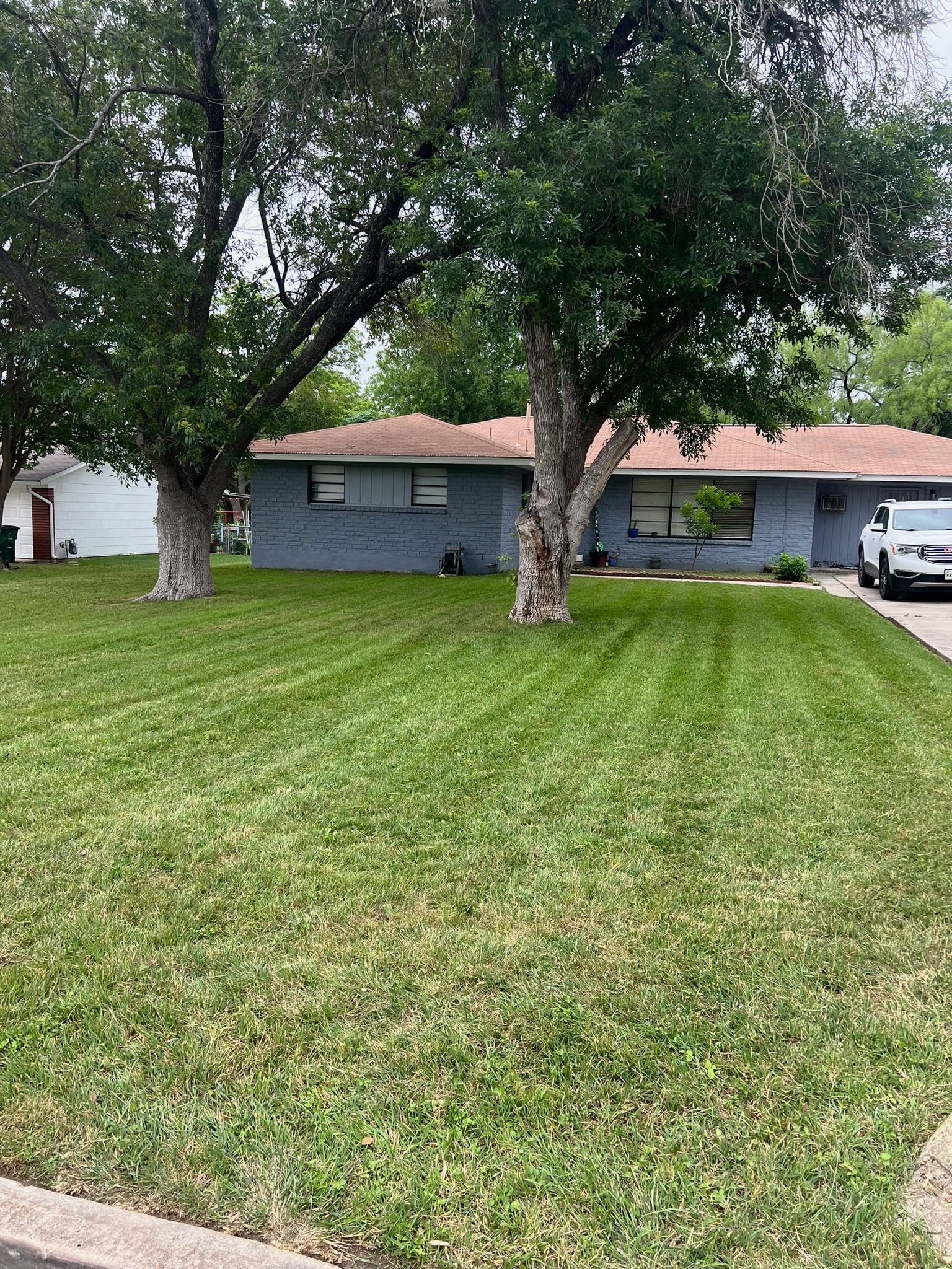 Lawn & Landscaping for Exellent lawn services in San Antonio, TX