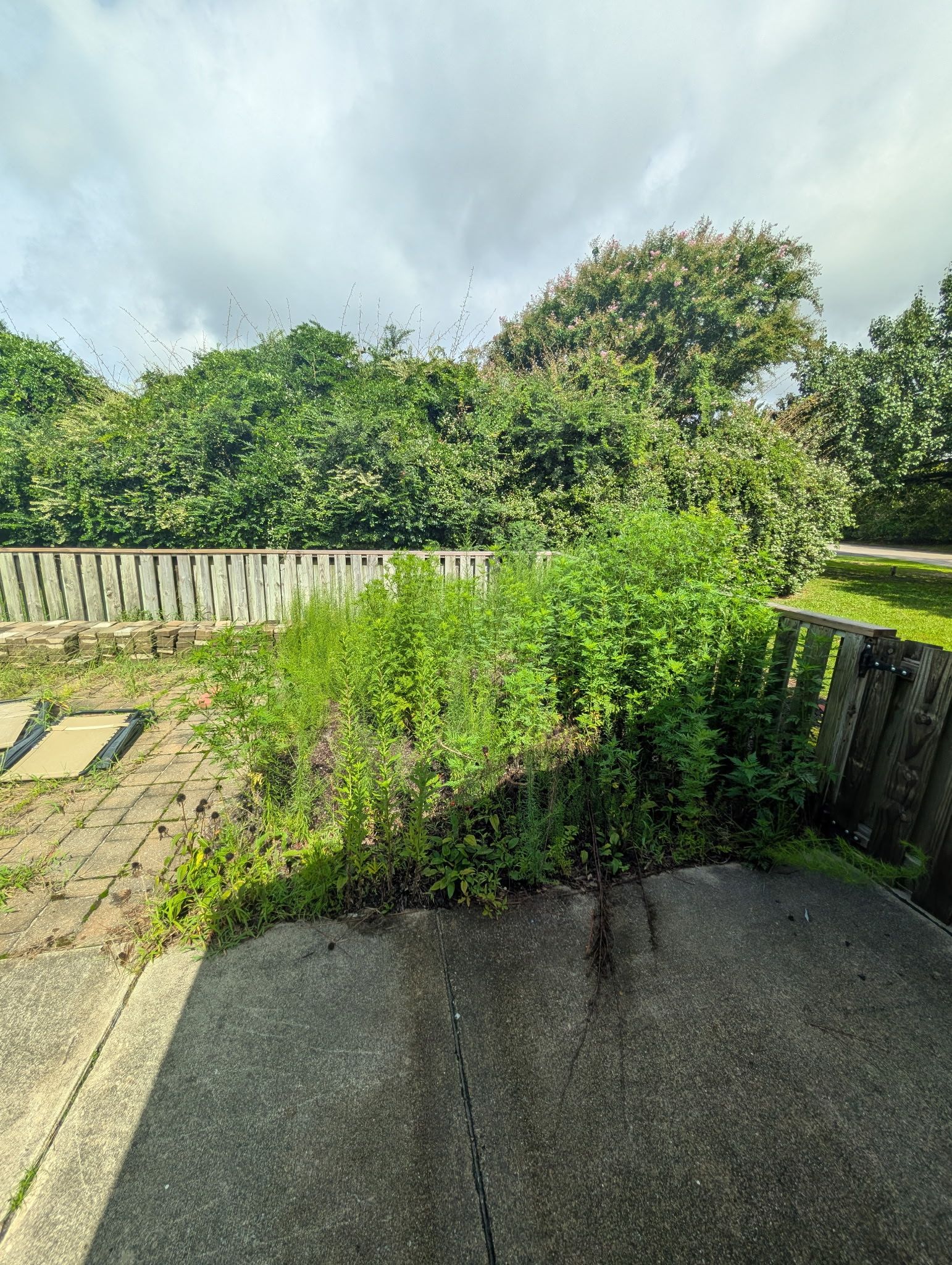 All Photos for Carolina Odd Jobs Inc. in Sneads Ferry, NC