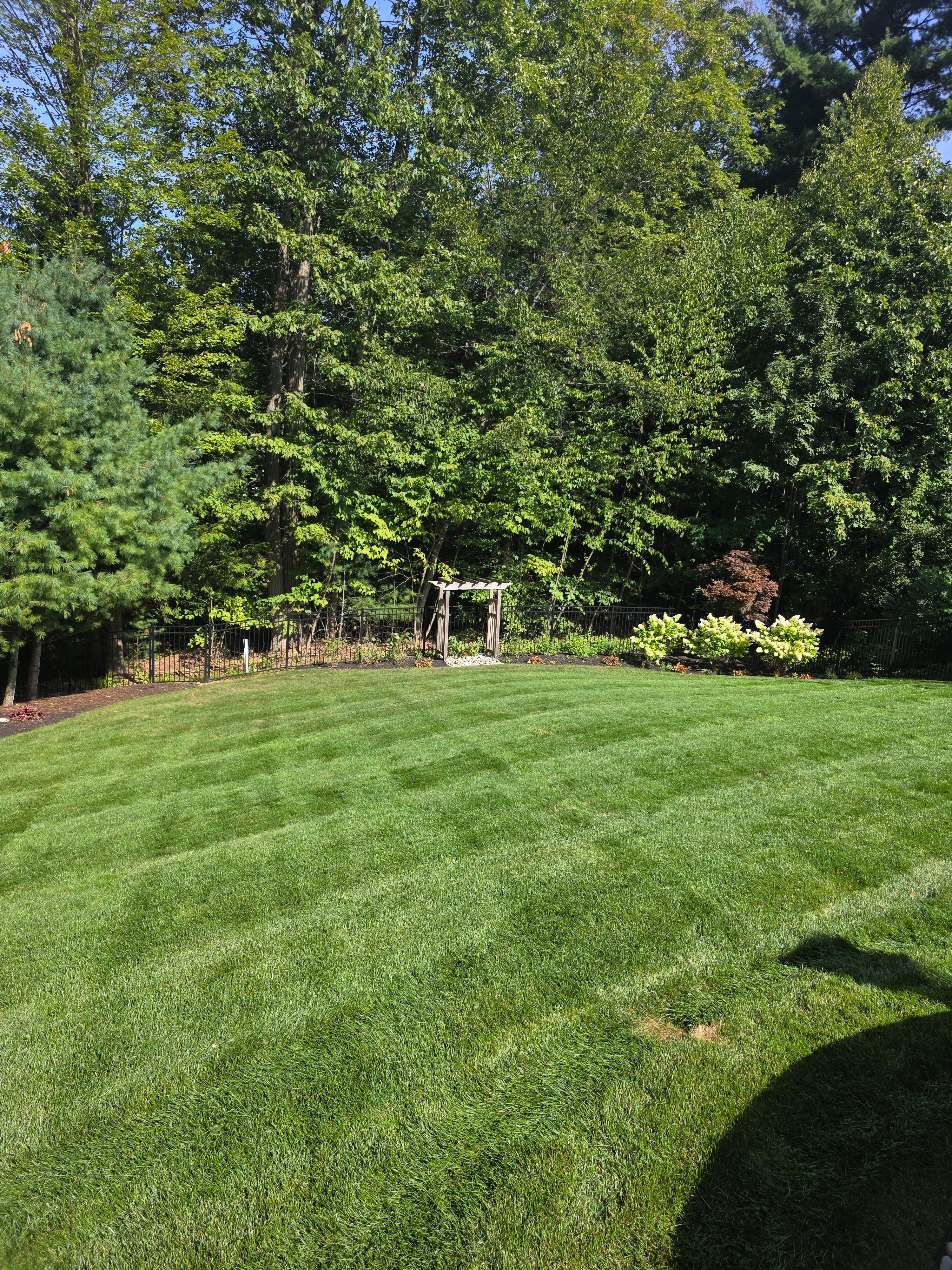  for Sweet Scapes in Ballston Spa, NY