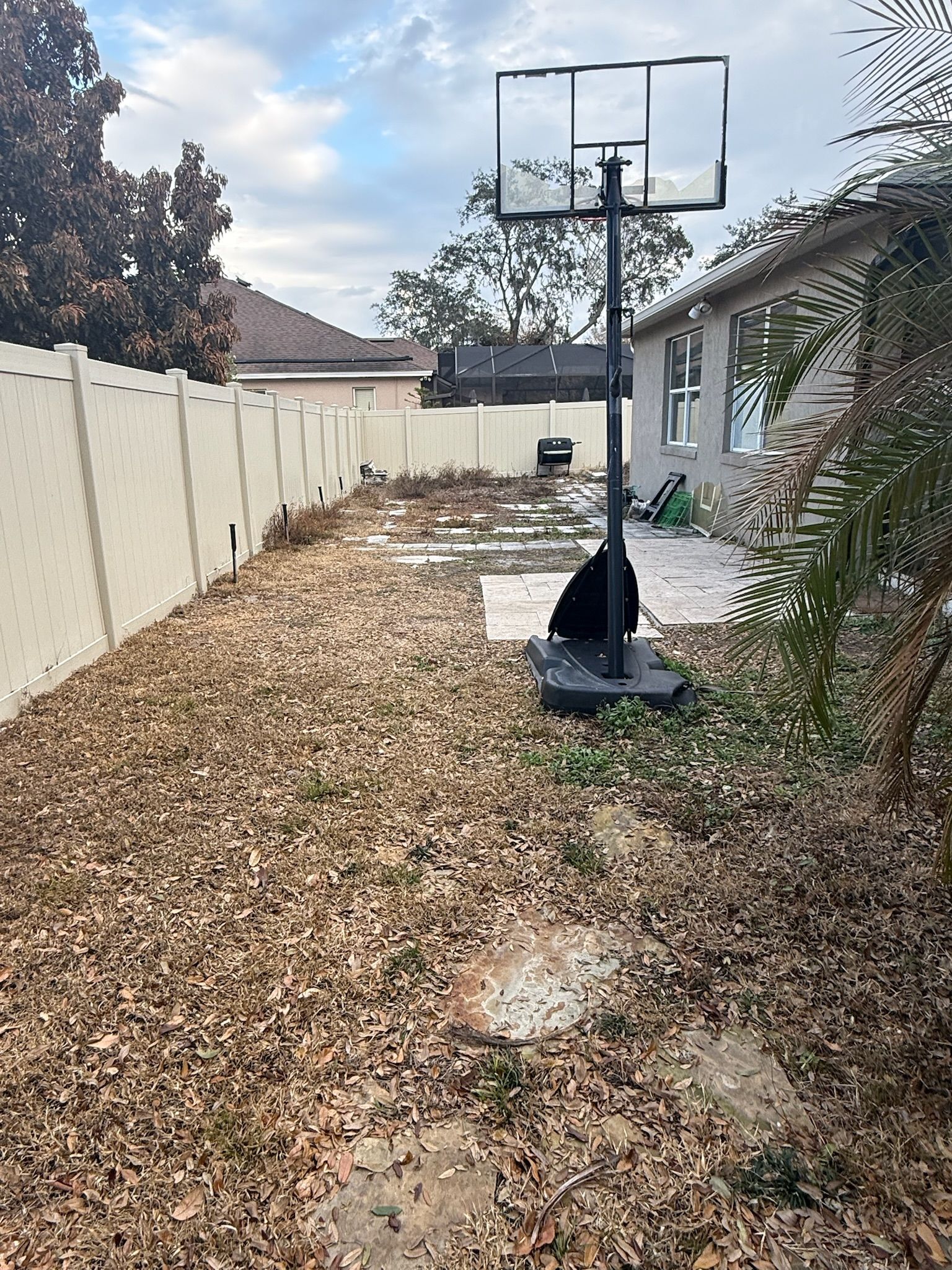  for Amerigrown Tree And Lawn in Apopka, FL