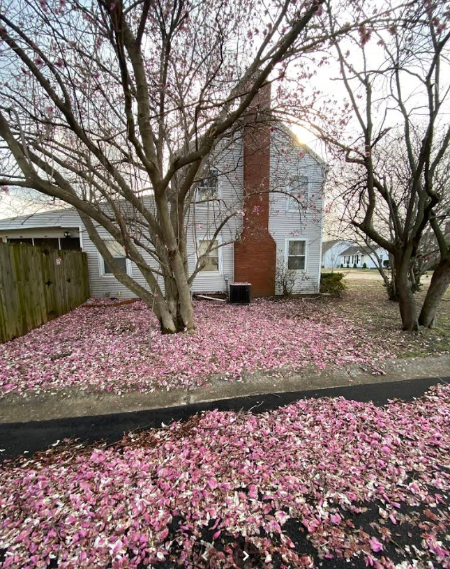  for NPR Roofers in Nashville, TN