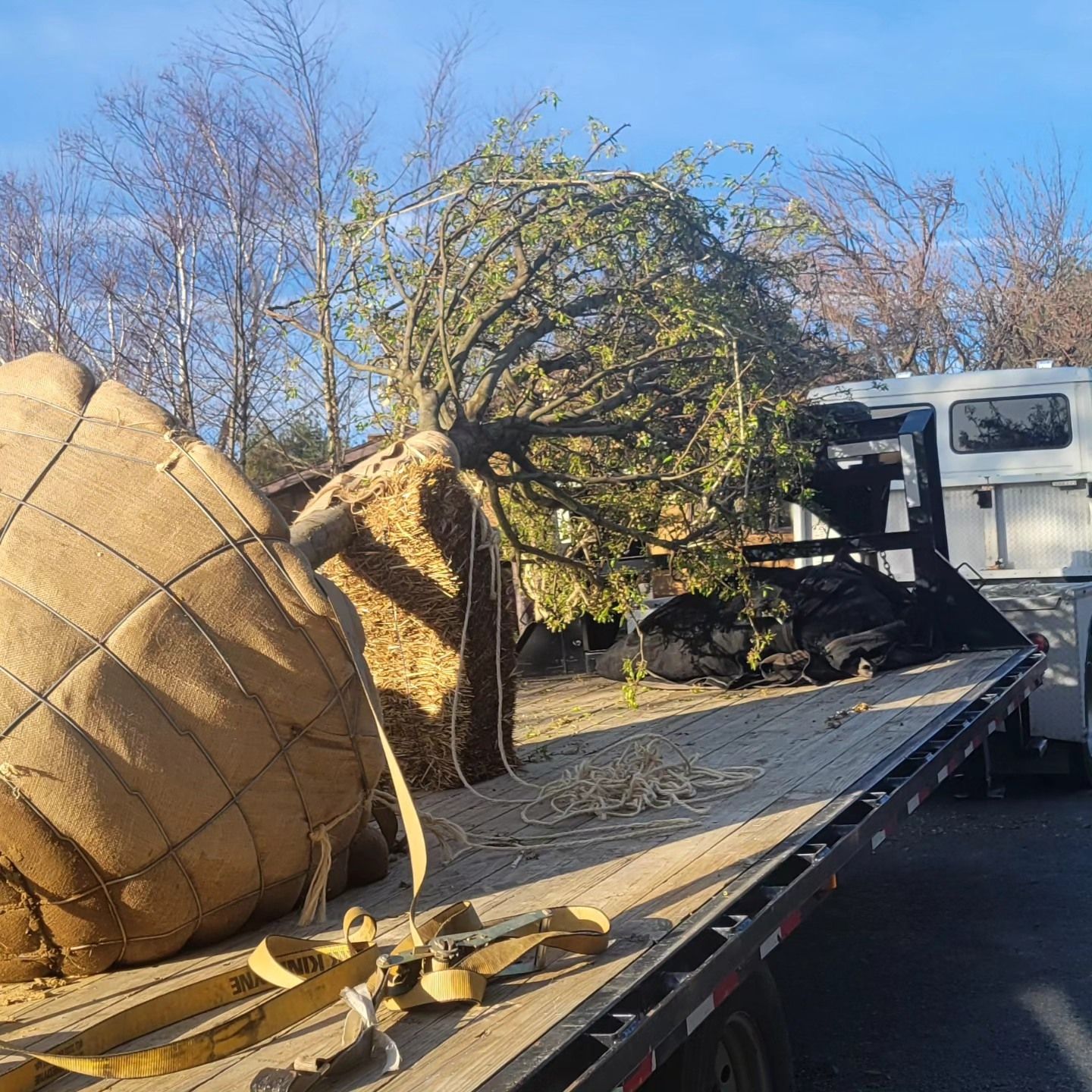  for Tony Monaco Landscaping Inc. in Orange County, NY