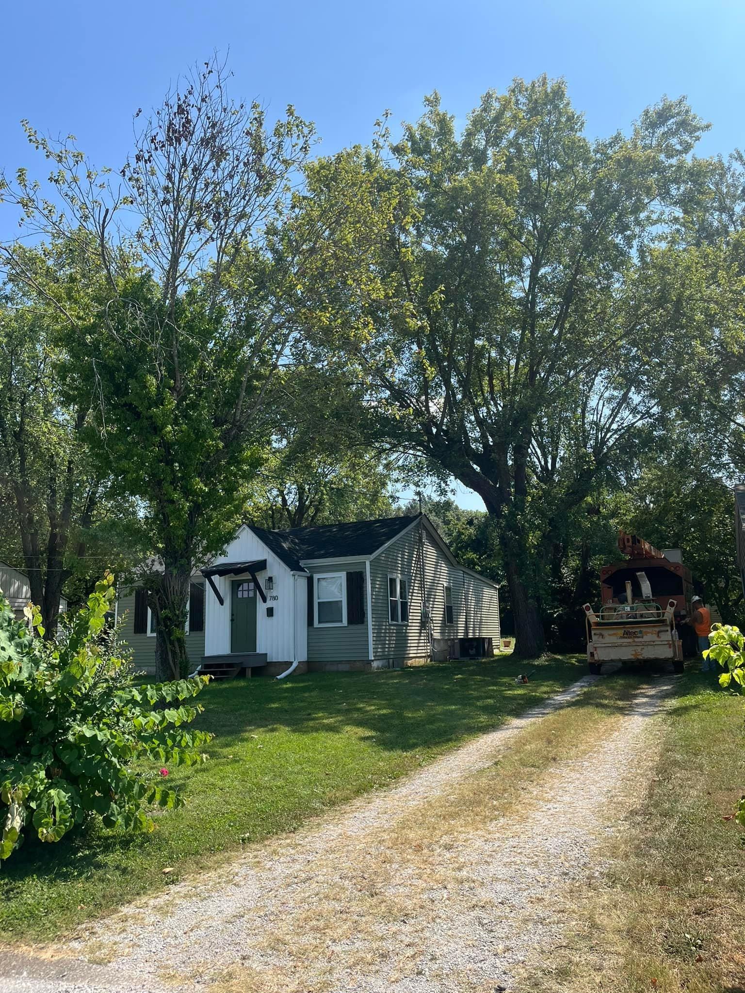  for Curtis Tree Service LLC in Hopkins County, KY