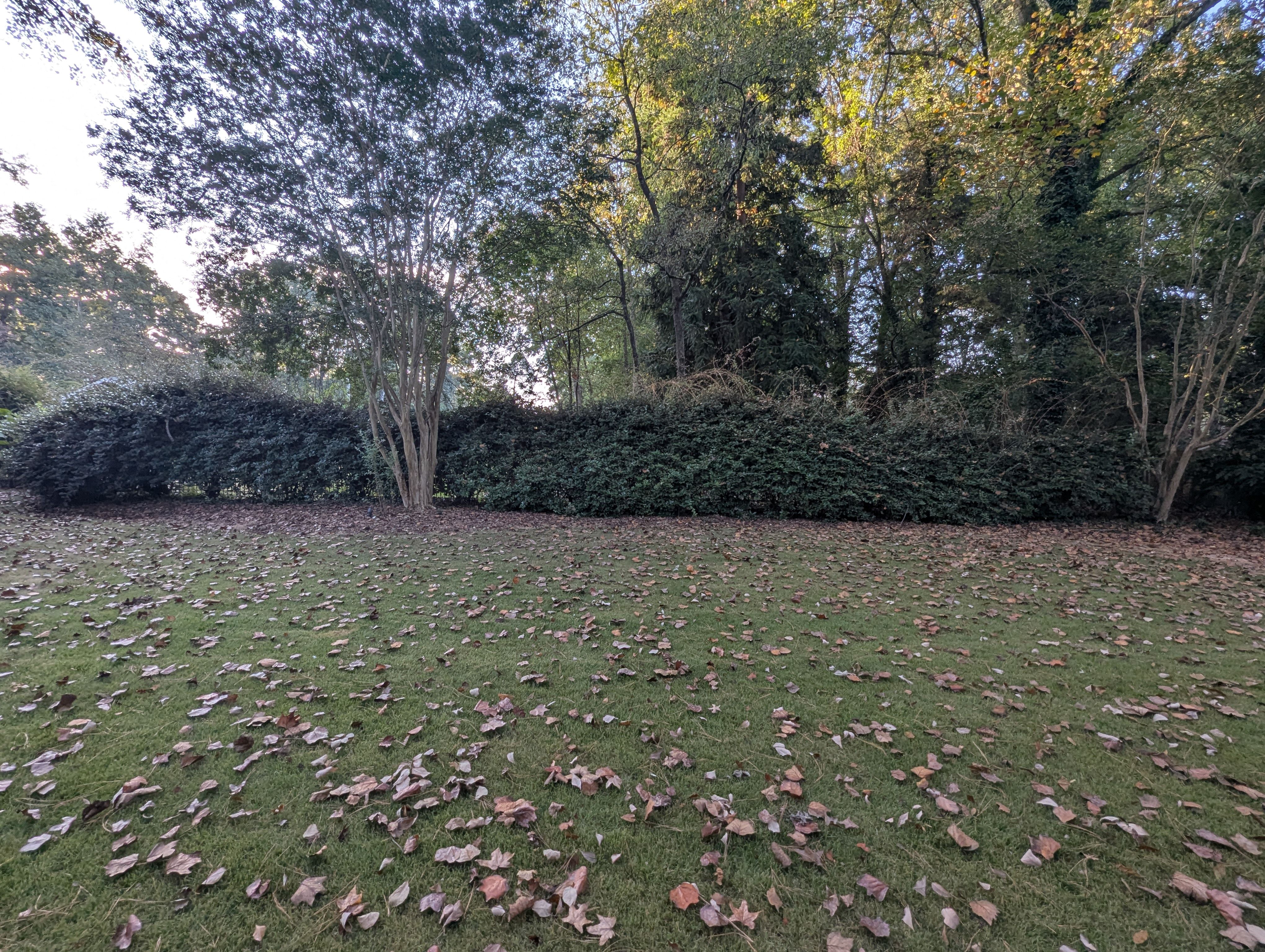  for Fantastic Lawn Care in Fayetteville, GA