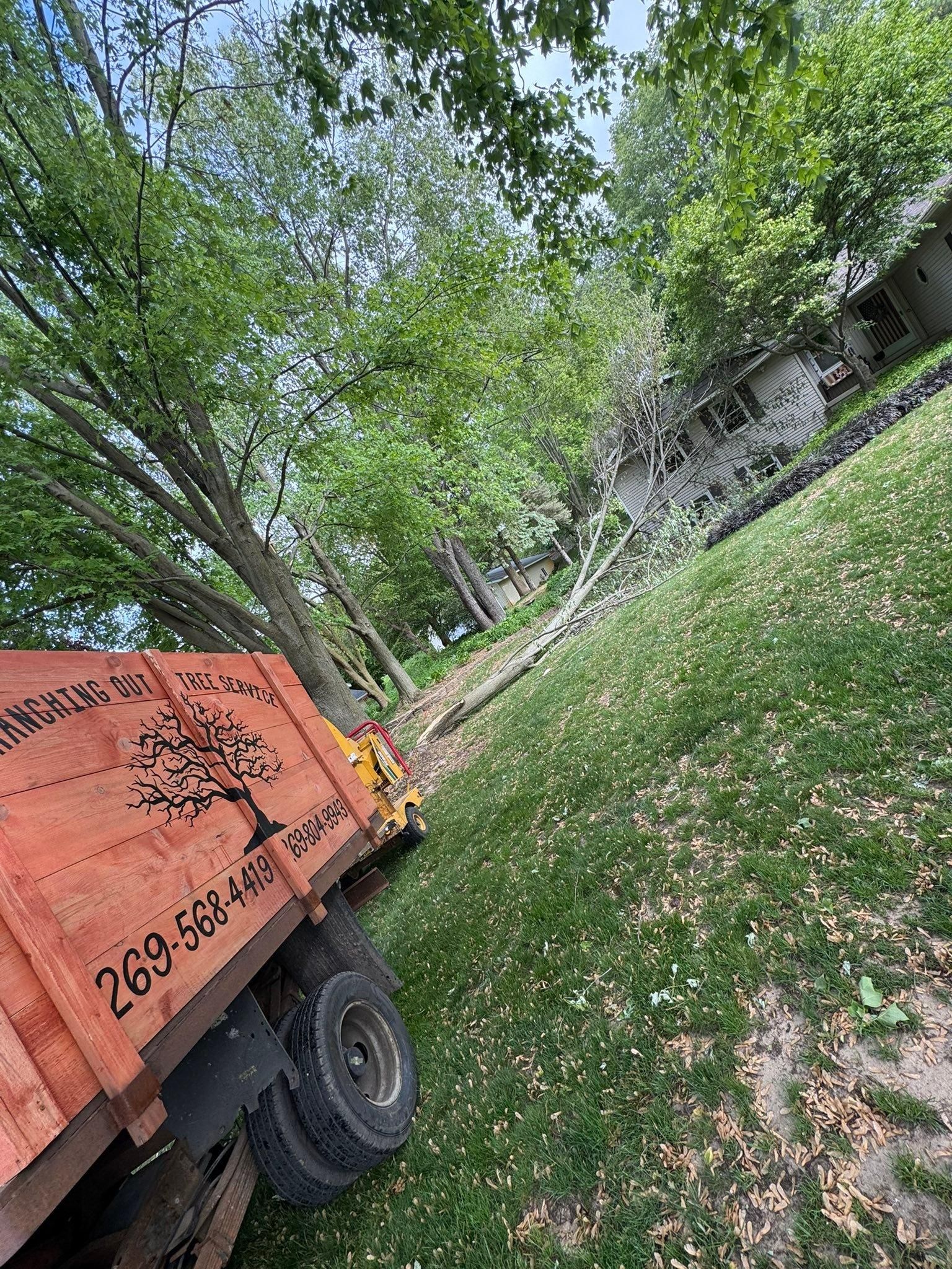  for Branching Out Tree Service in Hastings, MI