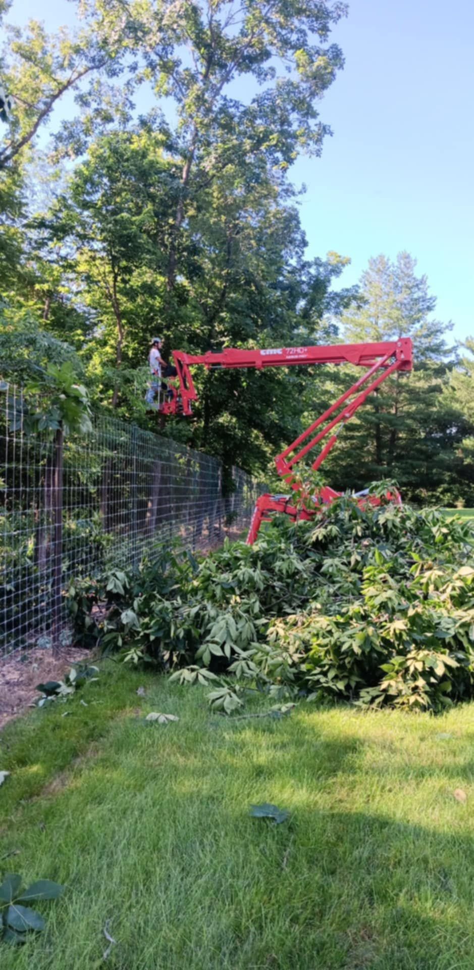  for Lawn Ranger Yard And Tree Service LLC in Ottumwa, IA