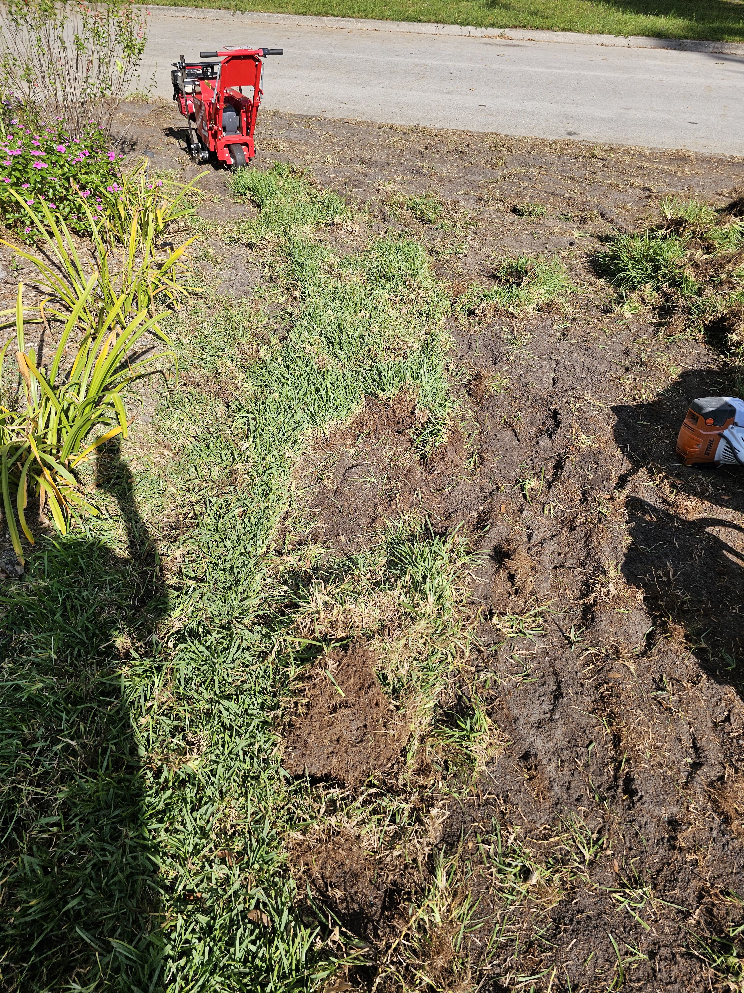  for Deeper Roots Landscape in High Springs, FL