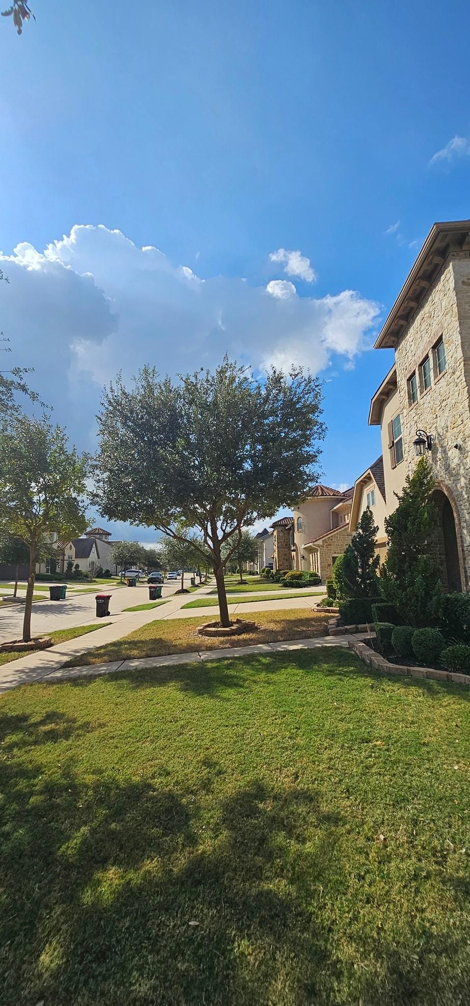  for Servin's Tree Care  in Houston, TX