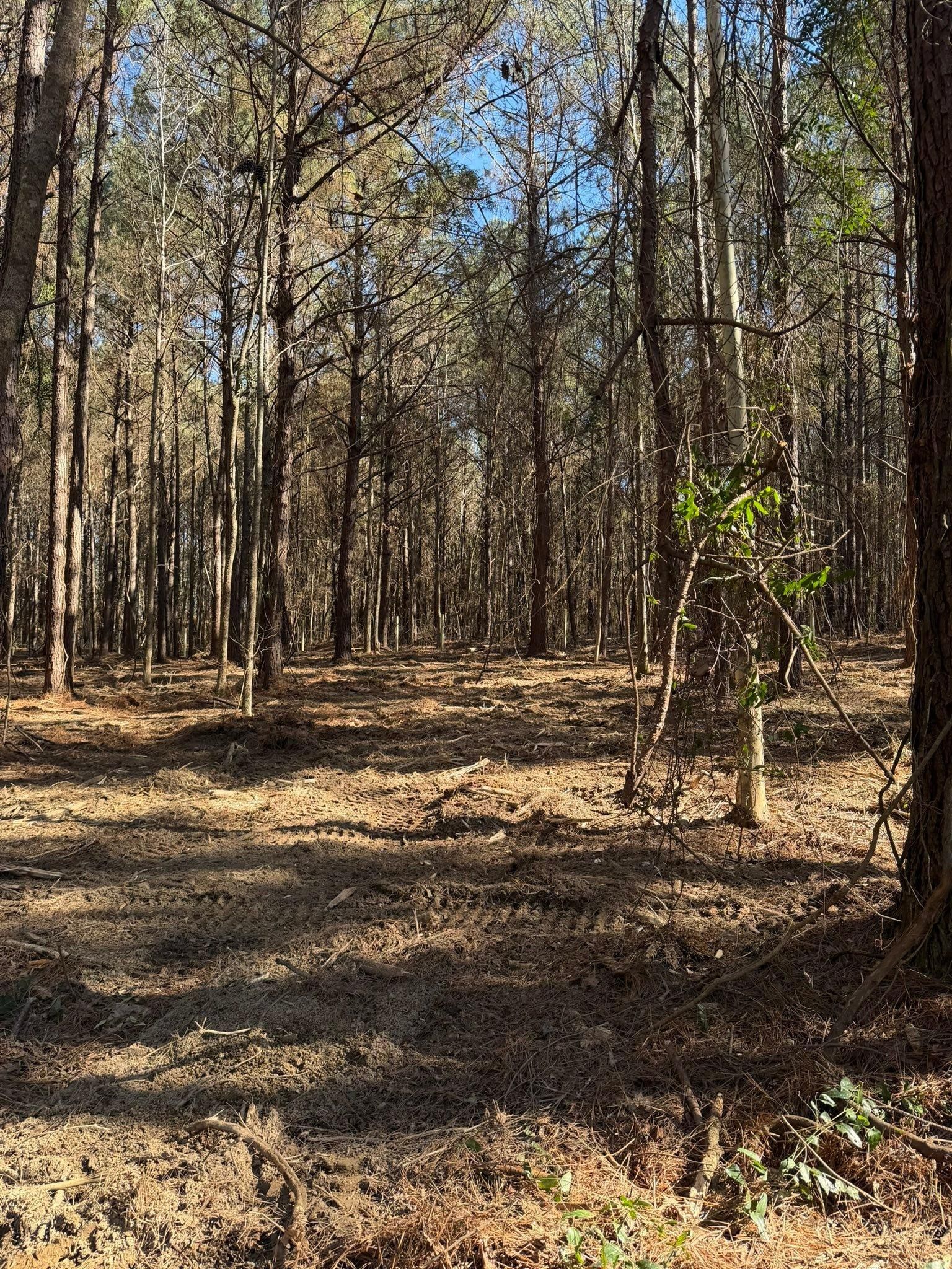 All Photos for Big Munchie Landworx in Jackson, MS