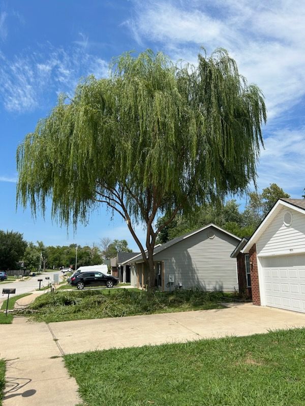 All Photos for Dale's Tree Service in Springdale, AR