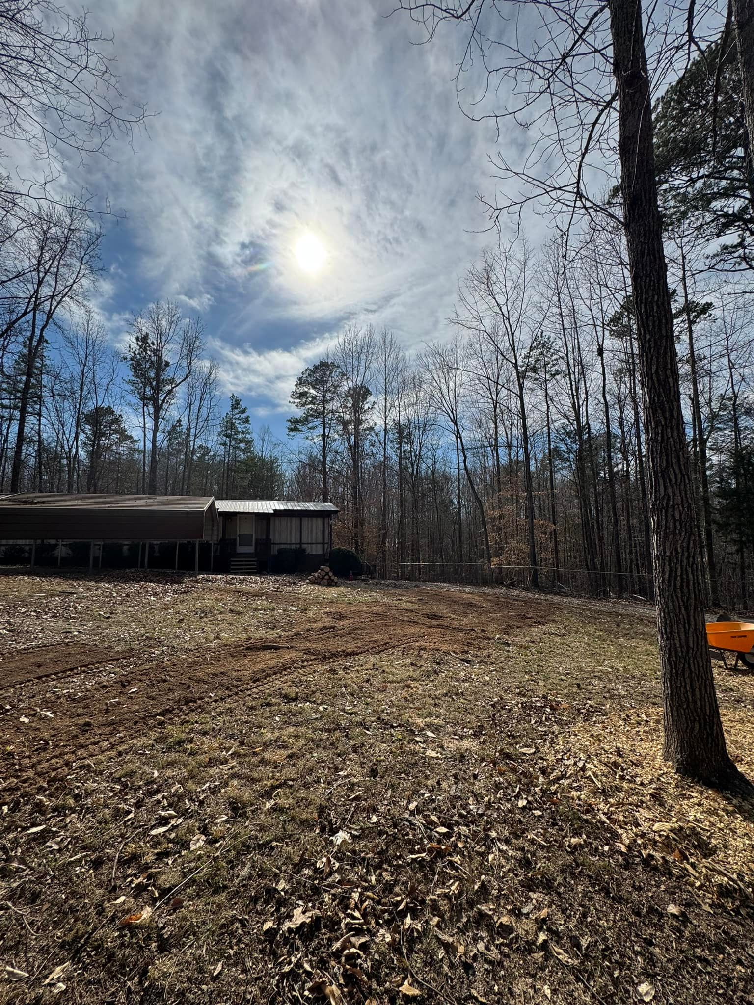 All Photos for Meade tree service in Greensboro, NC