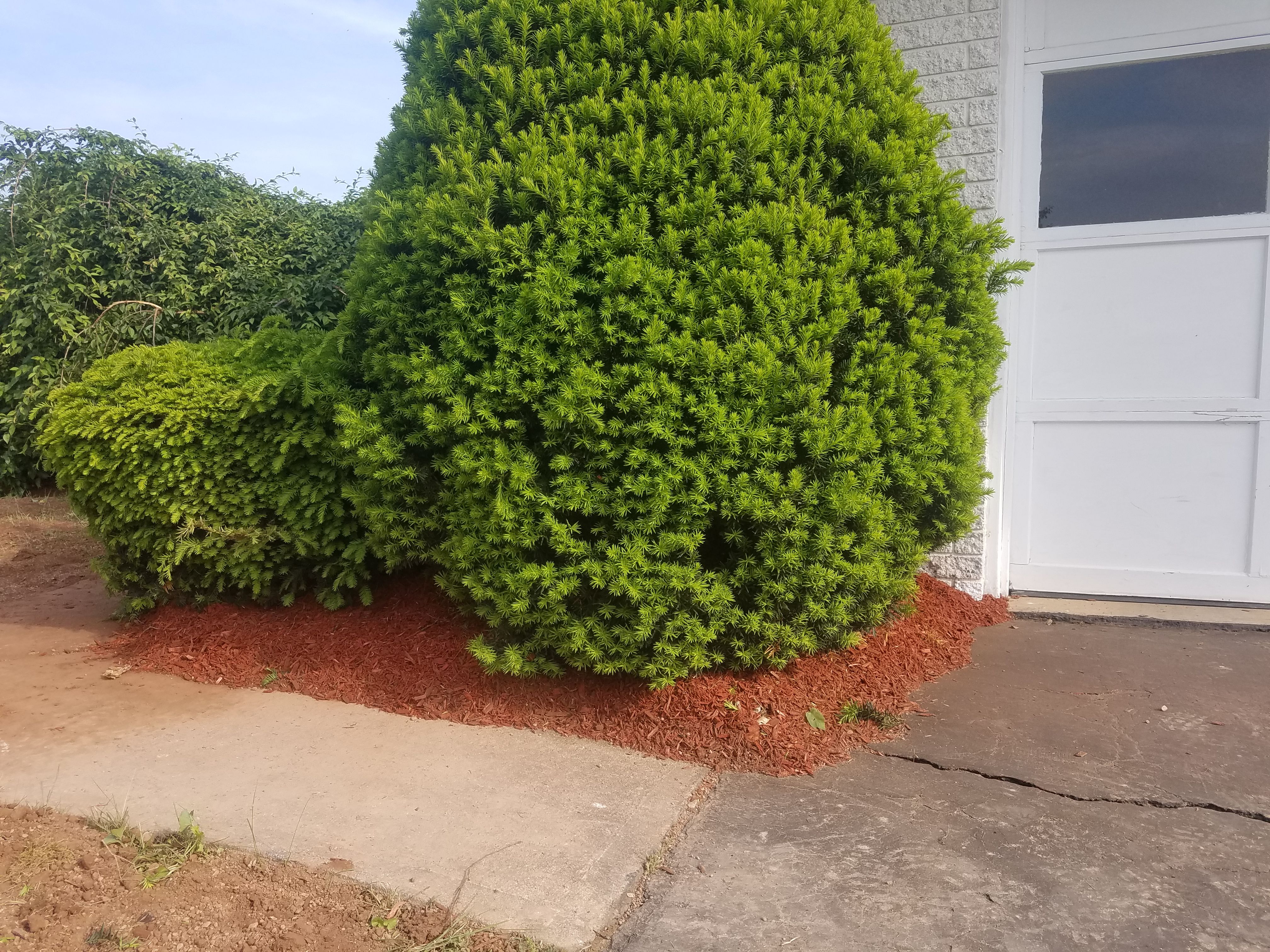  for Down Home Landscaping in Stillwater, PA