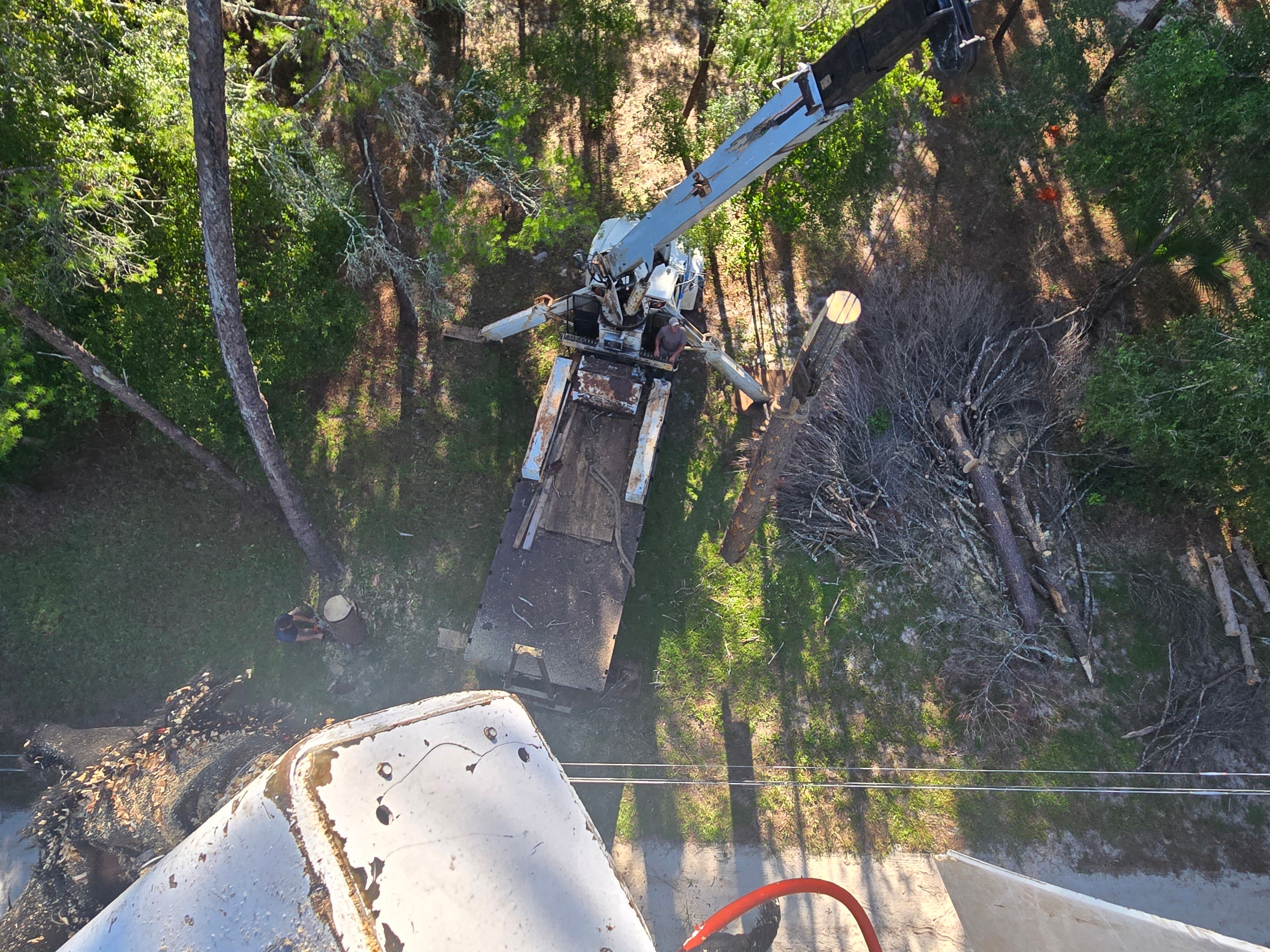 All Photos for Near Me Tree Service, Inc. in DeLand, FL