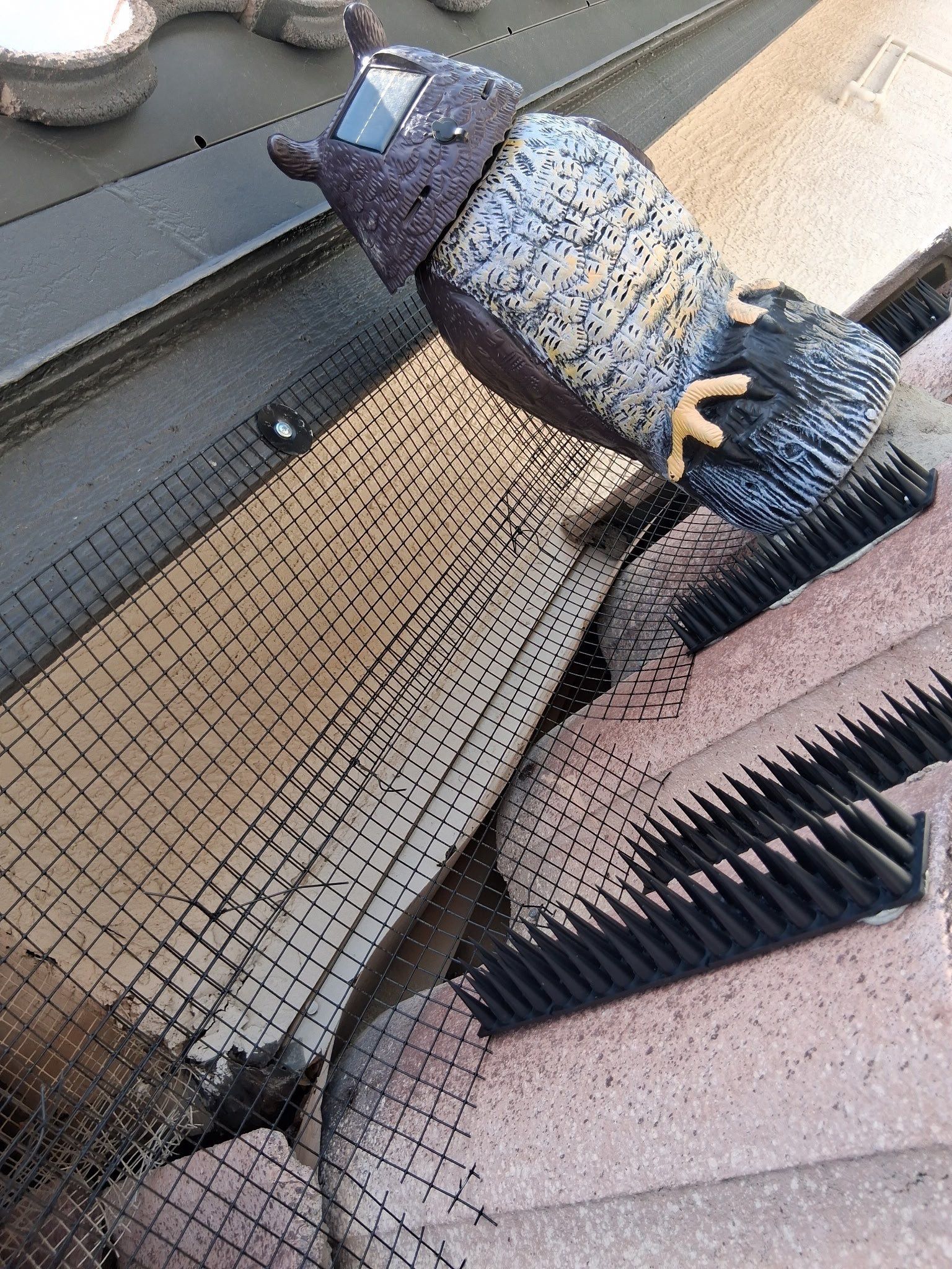  for Olson & Sons Contracting in Mesa, AZ