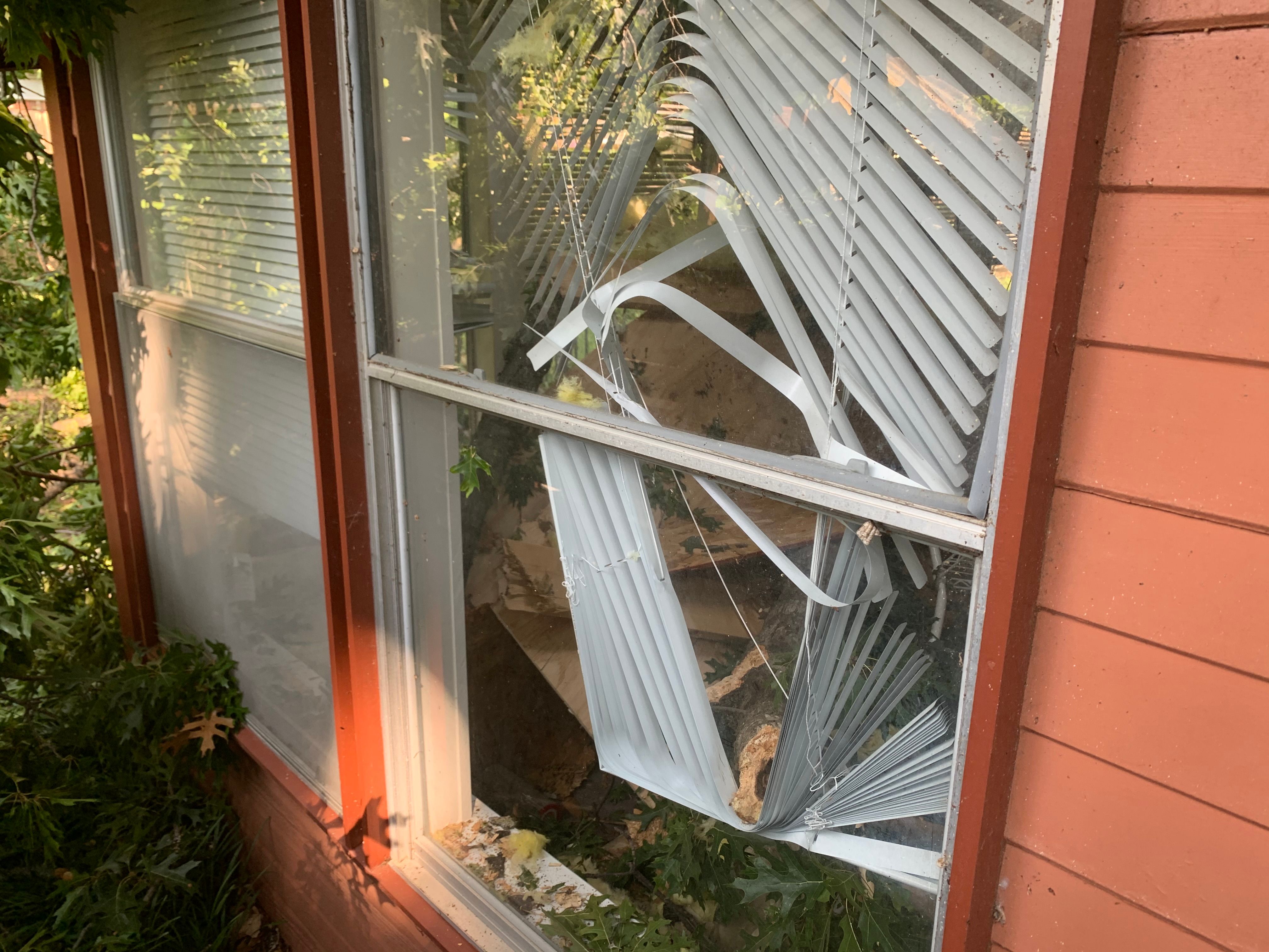 for TLC Professional Tree Service in Bedford, TX
