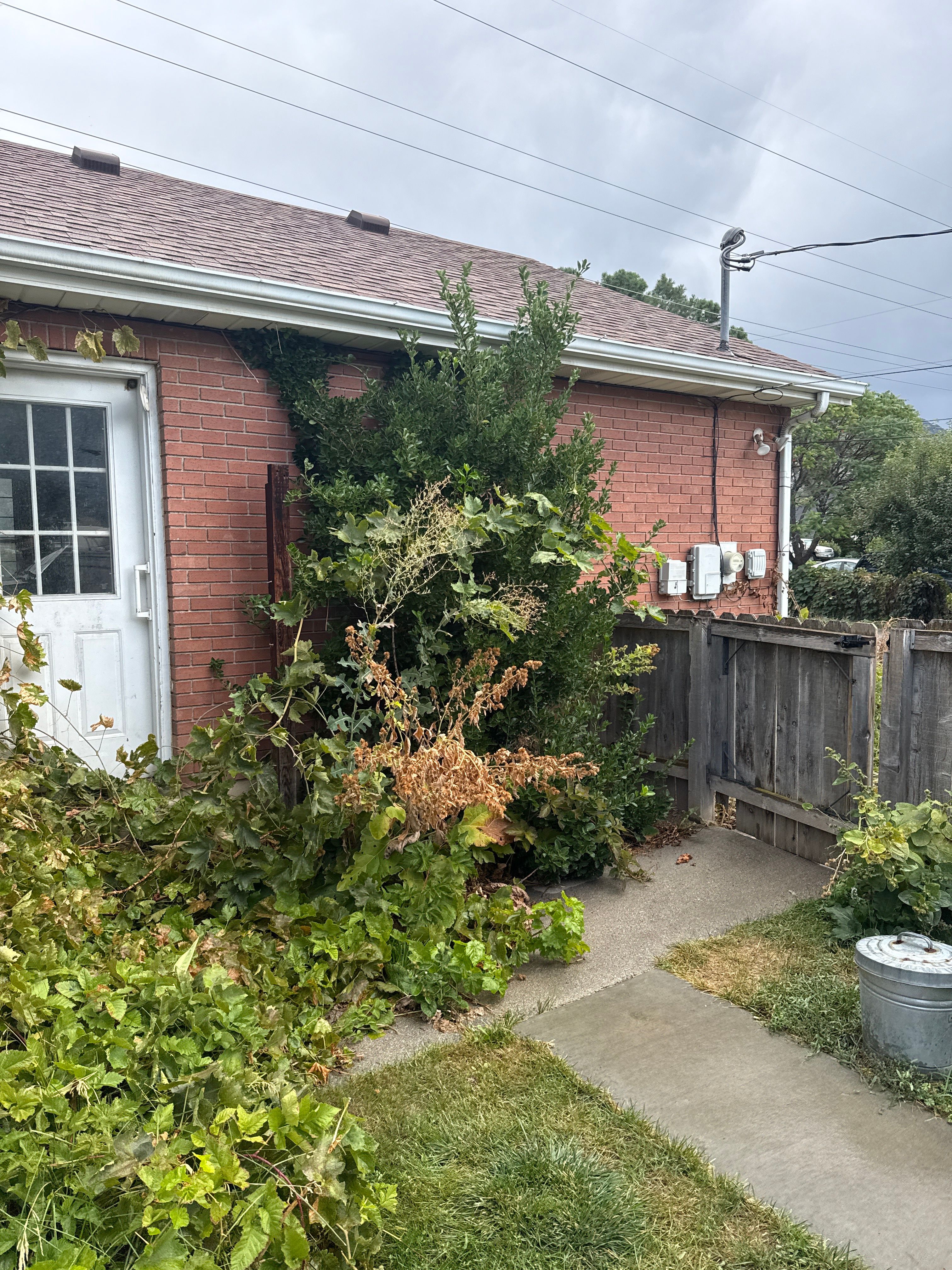  for Platinum Lawn Service in Santaquin, UT