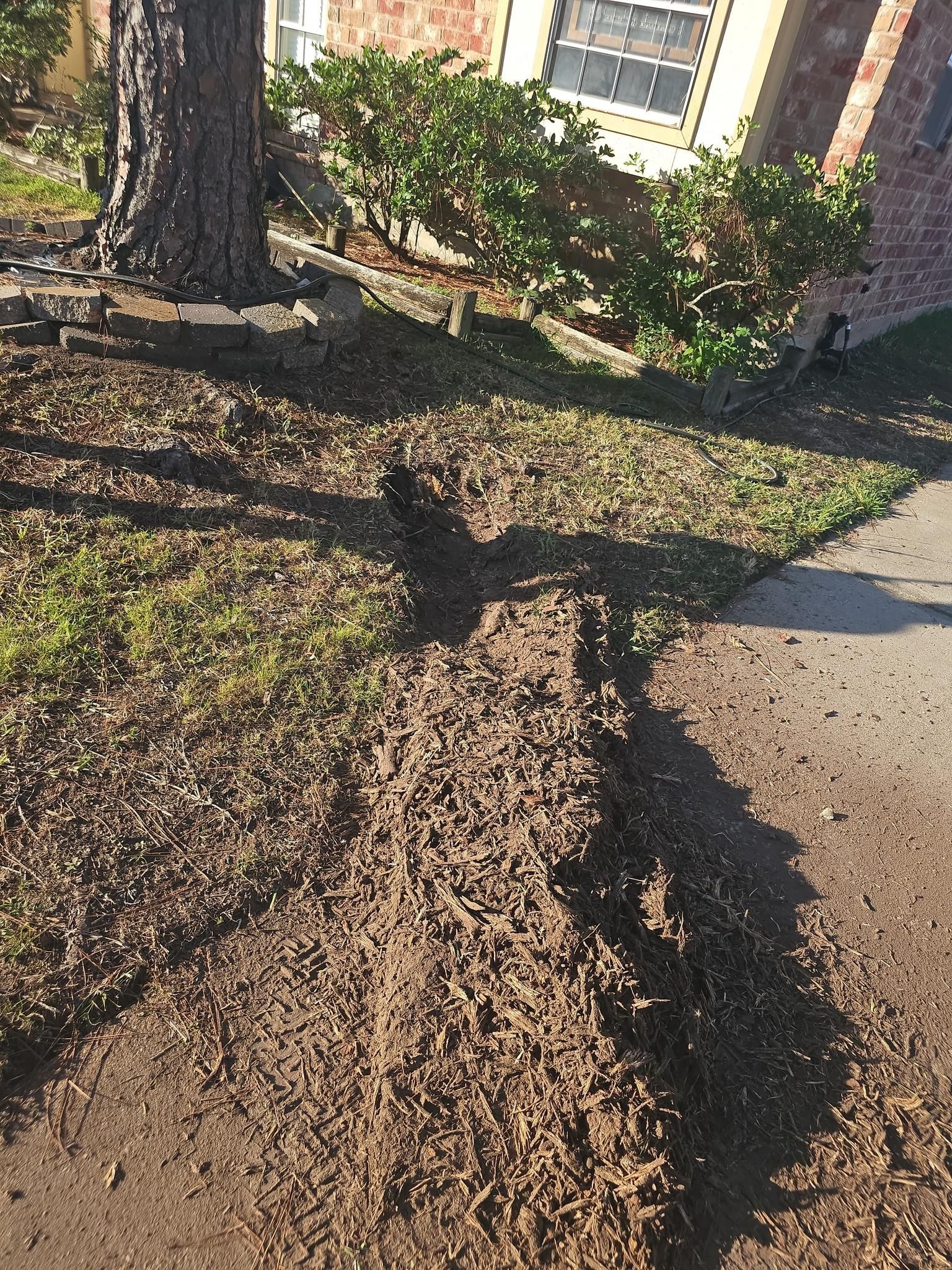  for Servin's Tree Care  in Houston, TX