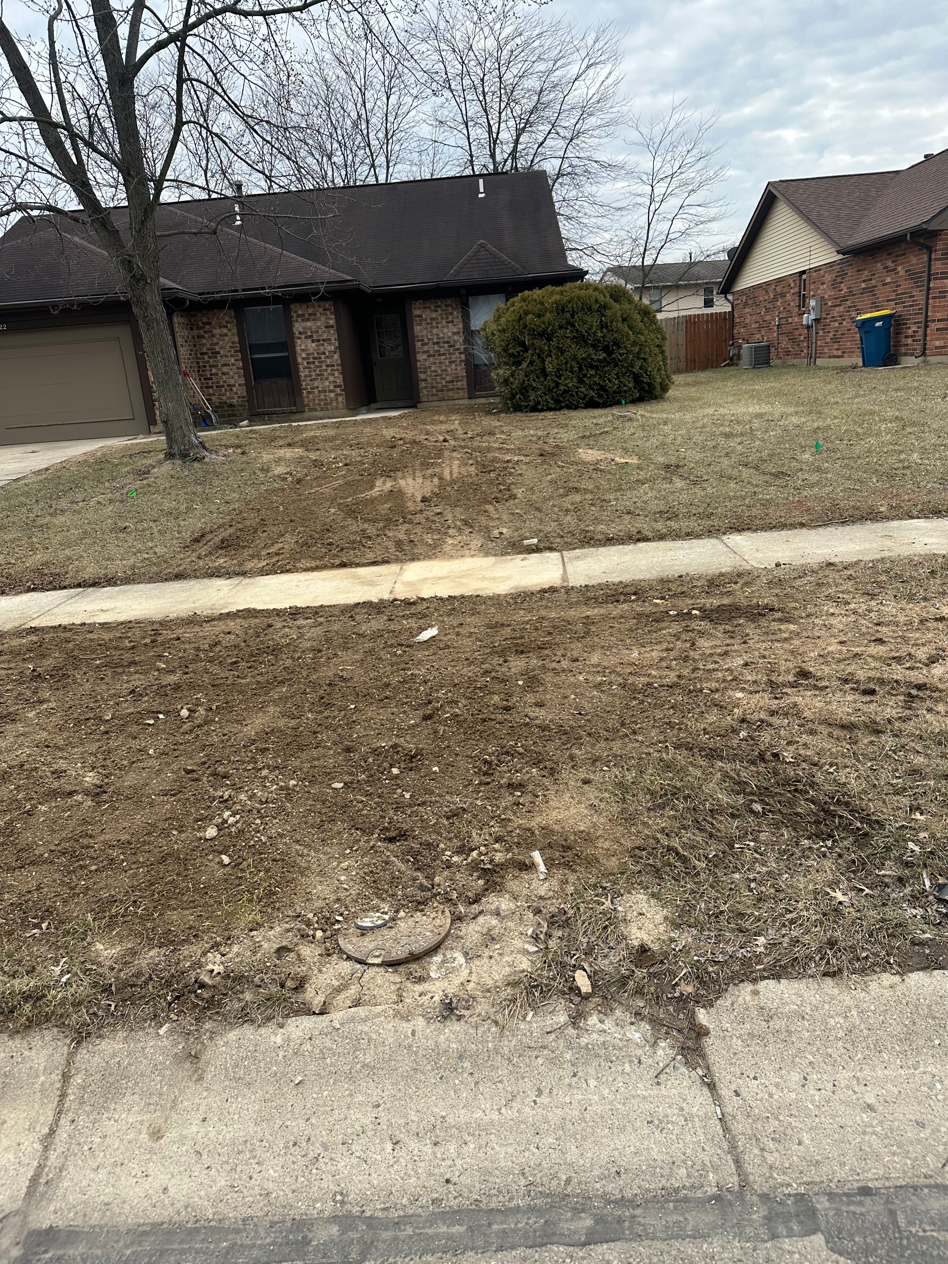 All Photos for Pro Tree Trim & Removal, Llc in Dayton, OH