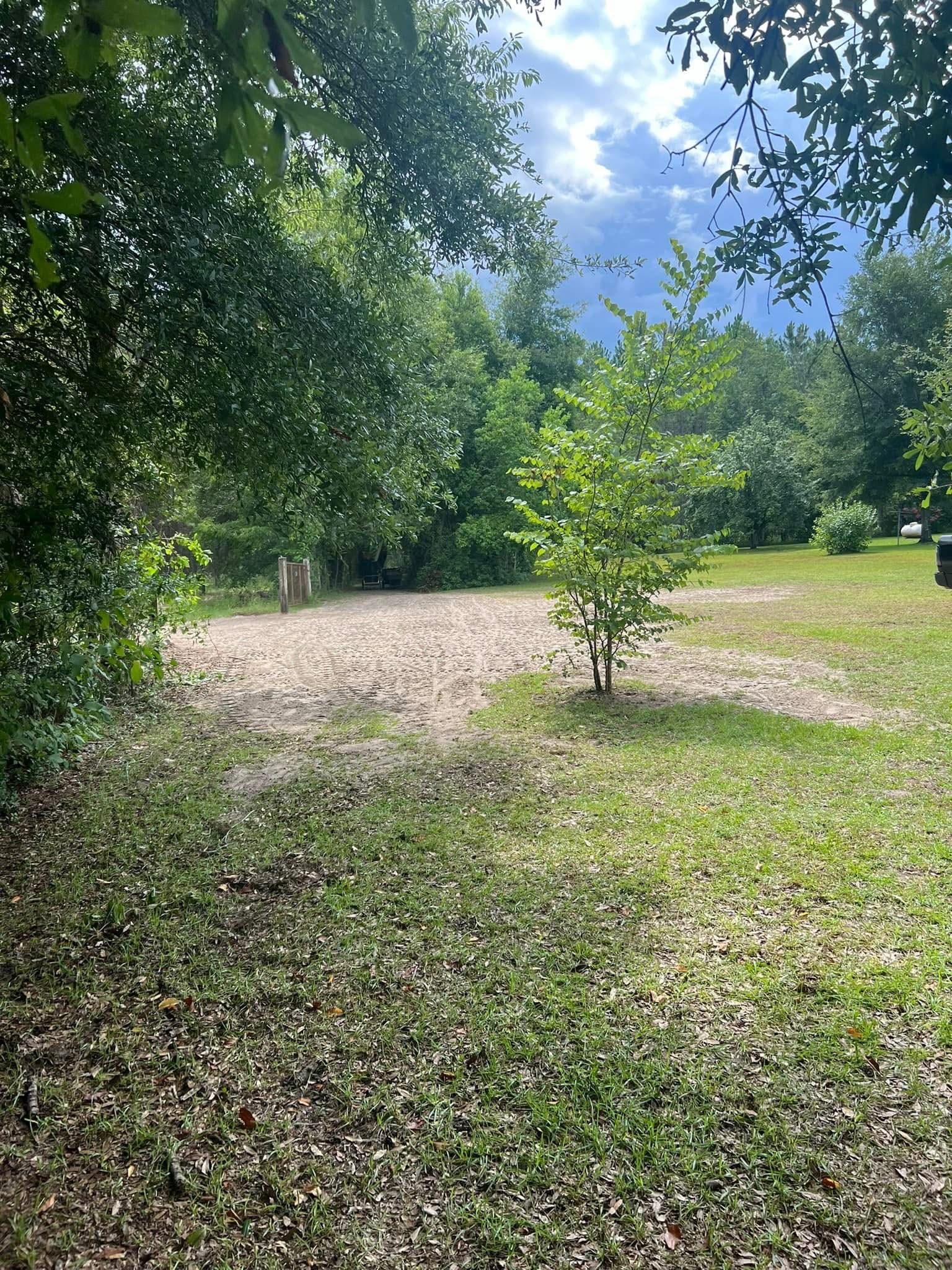  for Warners Tree Solutions in Live Oak, FL