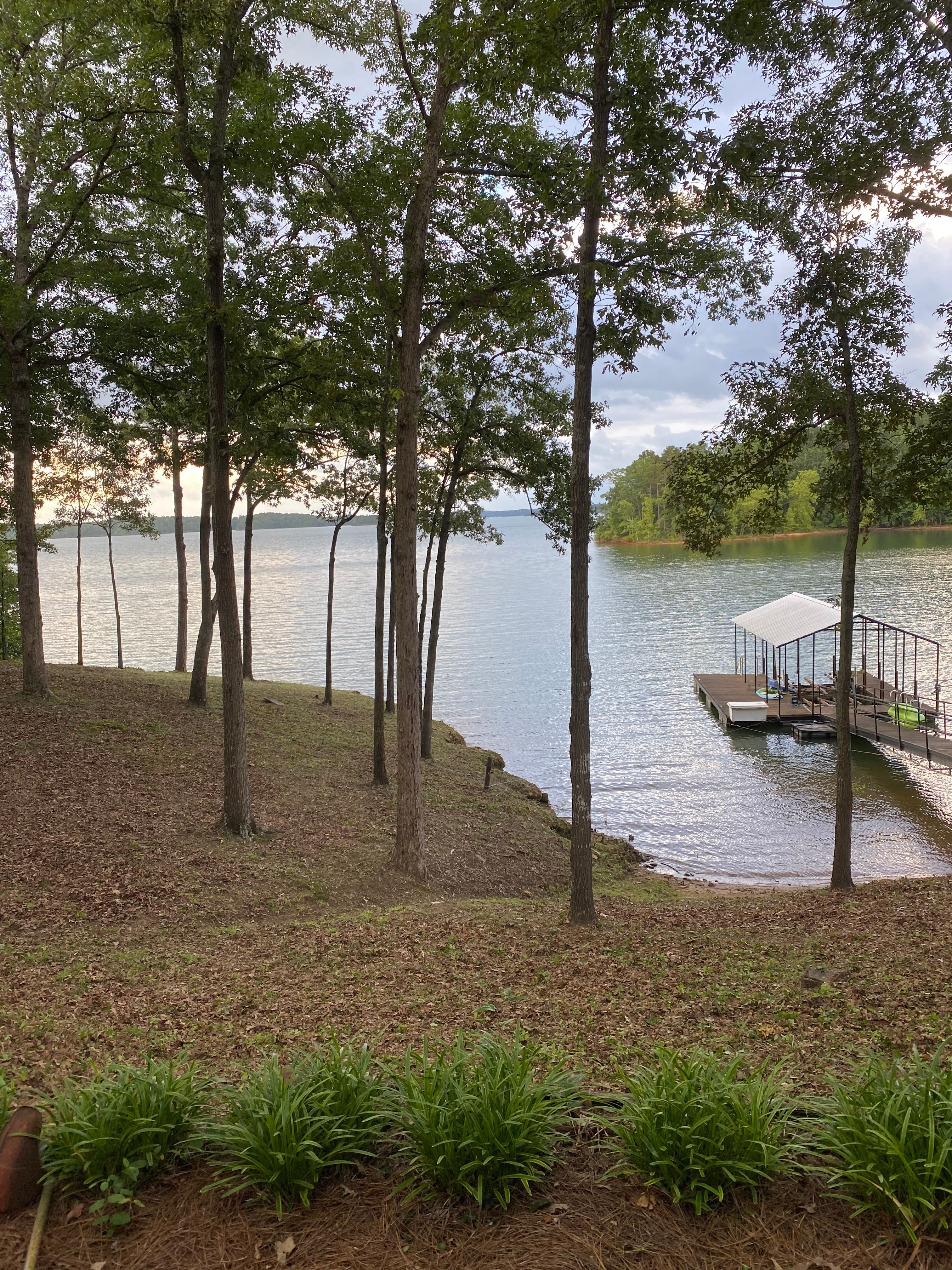 All Photos for Lakeside Tree Experts LLC in Hartwell, GA