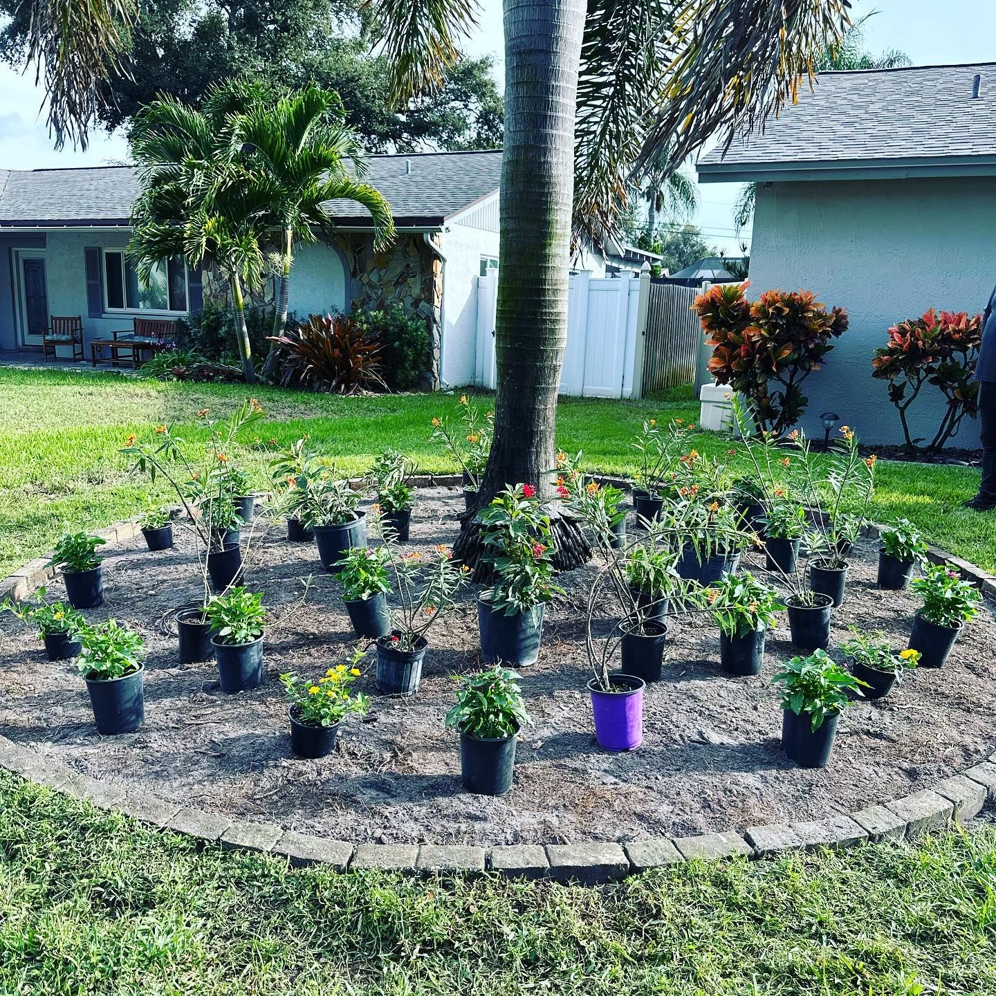 All Photos for GS Lawn & Landscape in Clearwater, FL