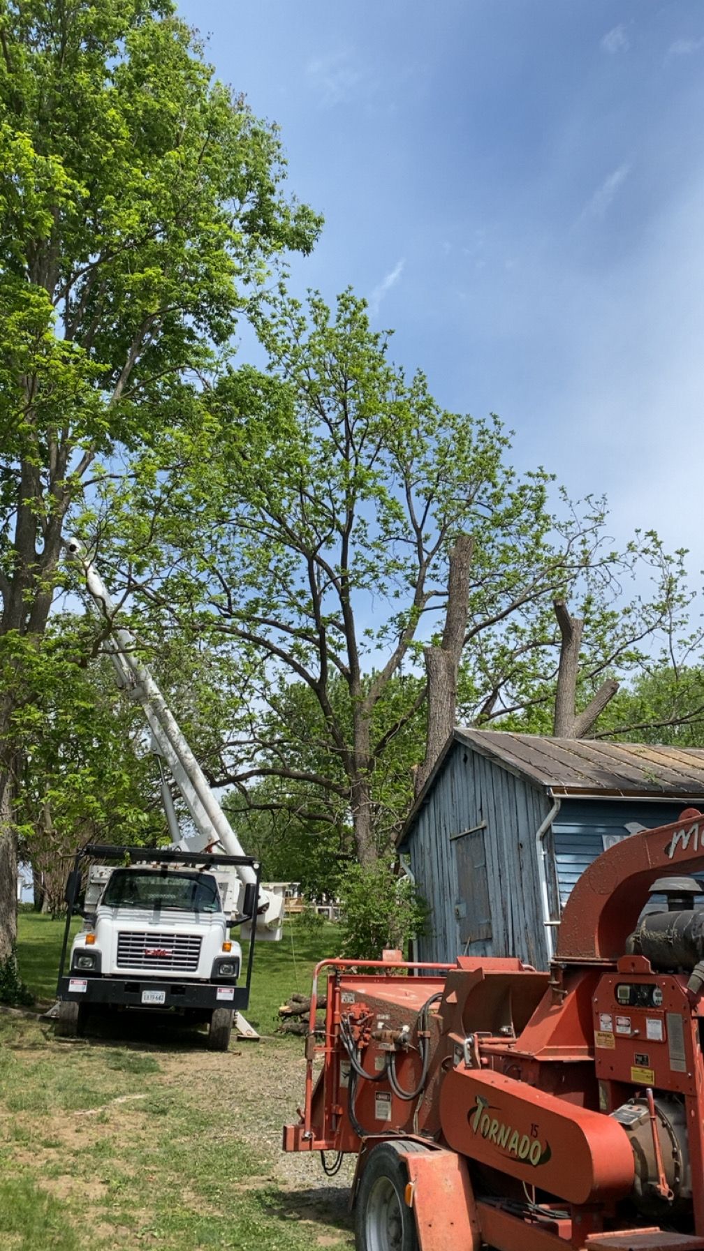 All Photos for Gray's Tree Service  in Shenandoah County, VA