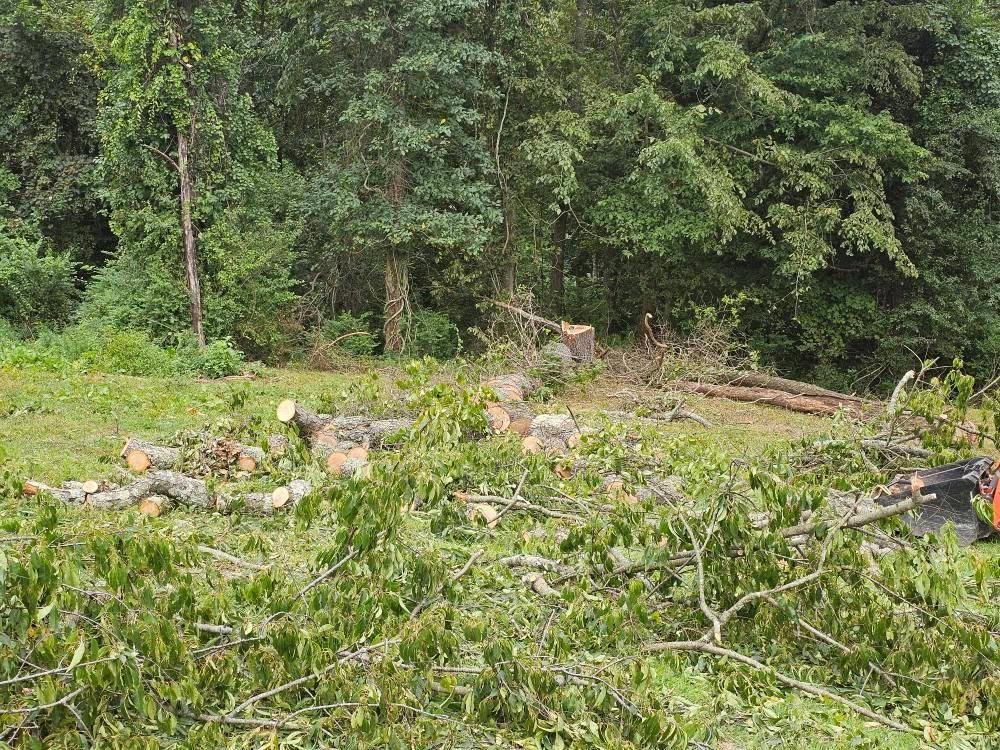  for I and R Stump Grinding in Thornville, OH