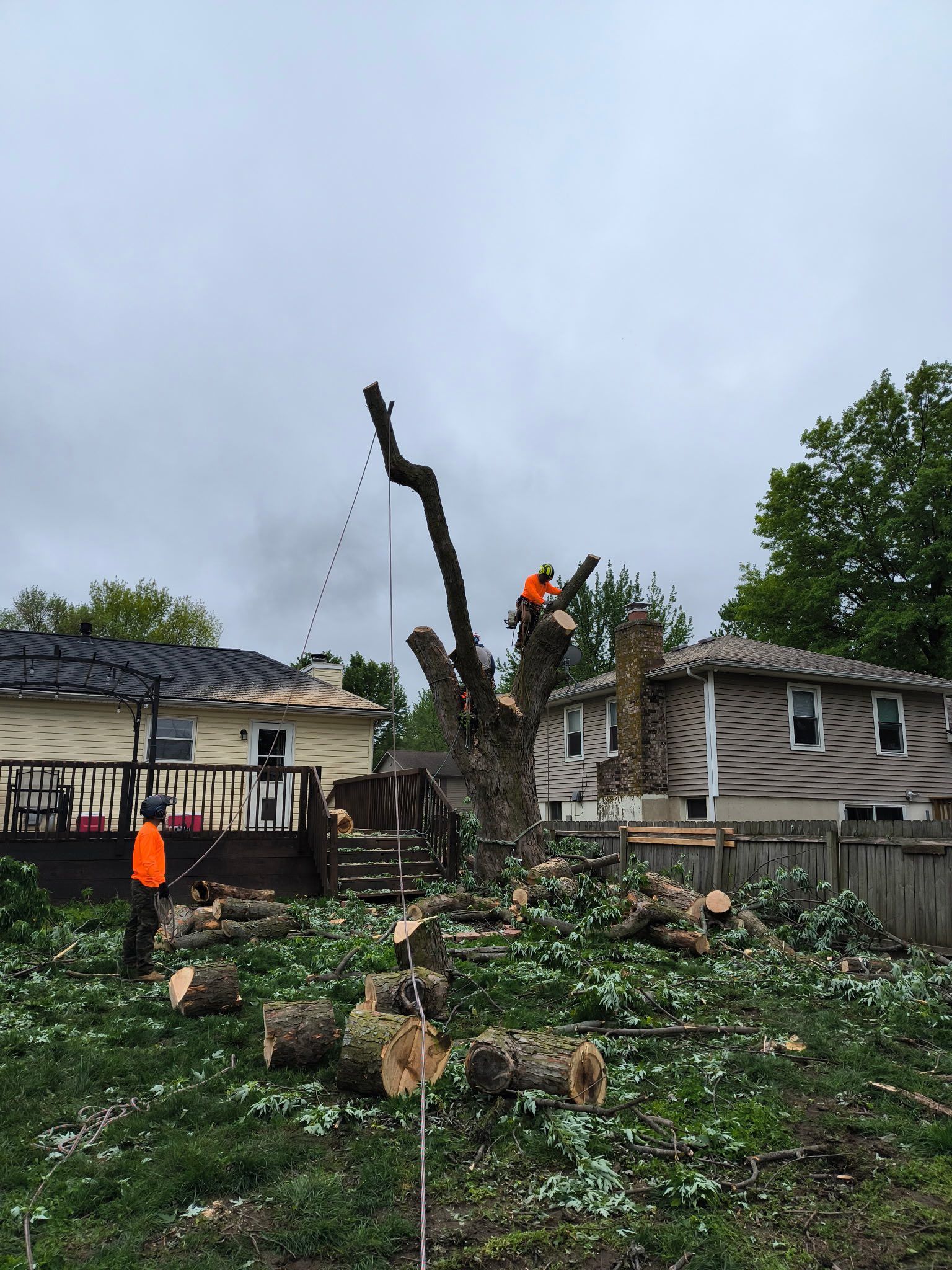 Tree Removal for Cross Family Tree Service in Kearney, MO