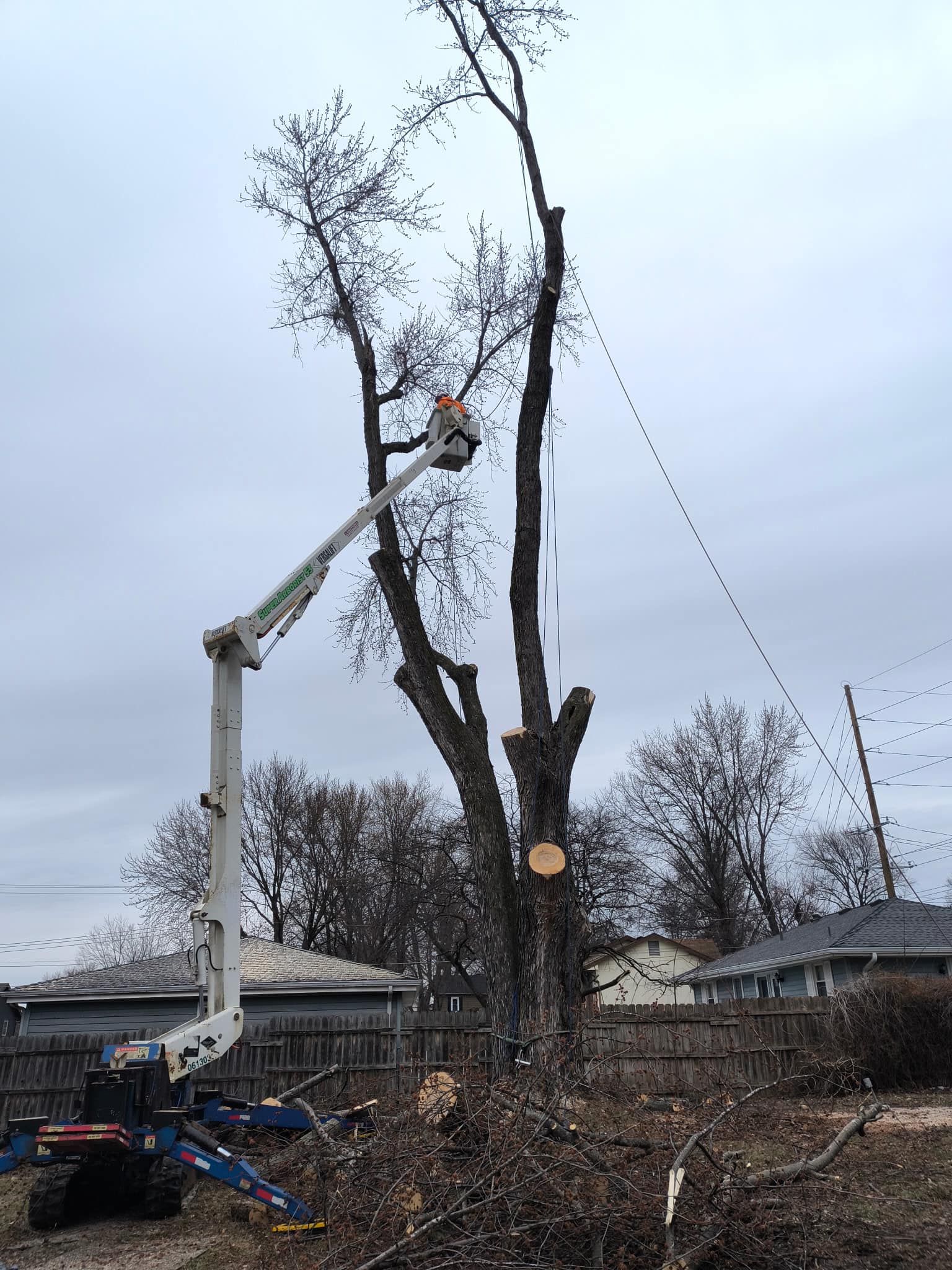 Tree Removal for Cross Family Tree Service in Kearney, MO