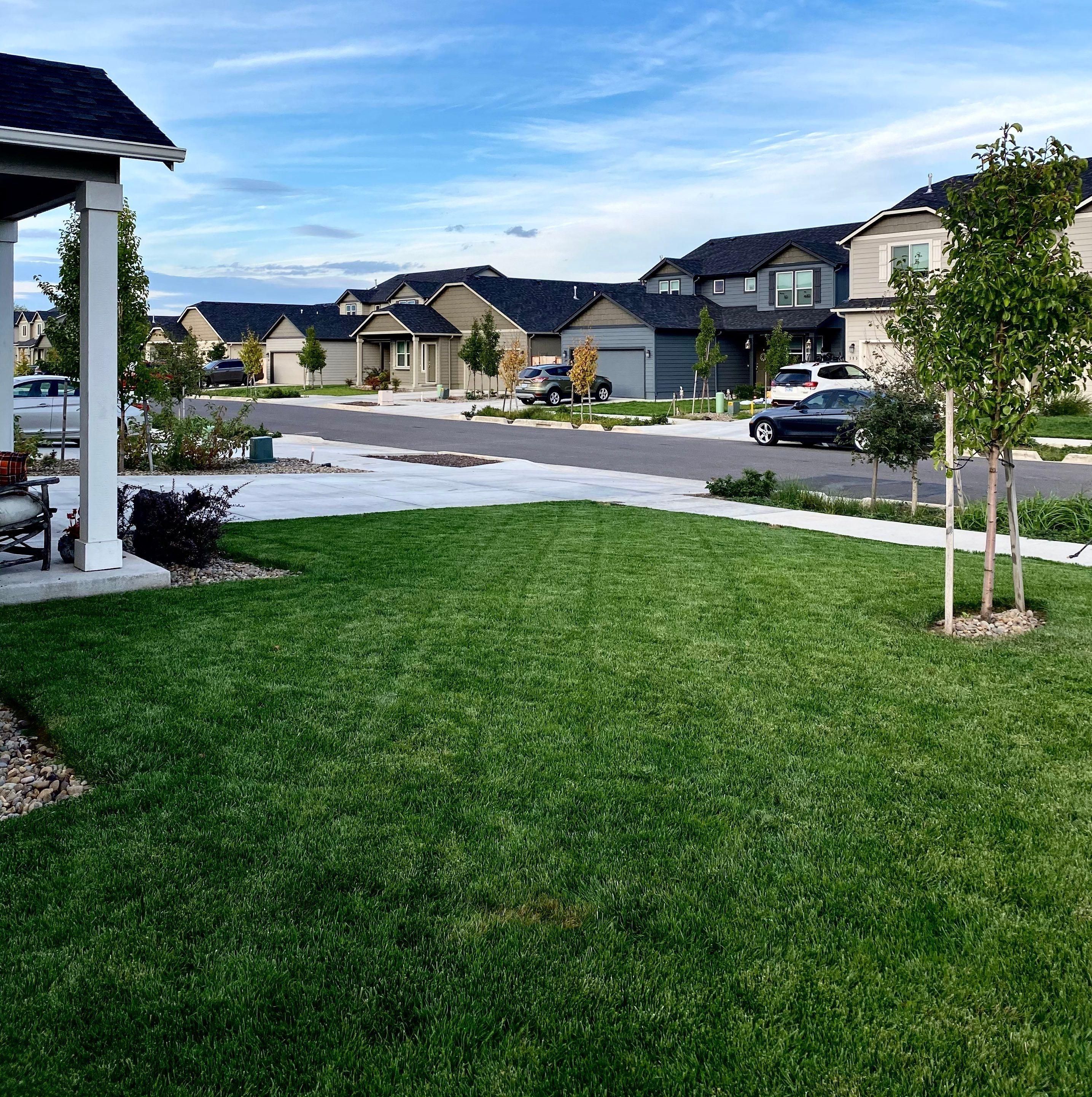  for Willamette Landscaping and Tree Services in Albany, OR