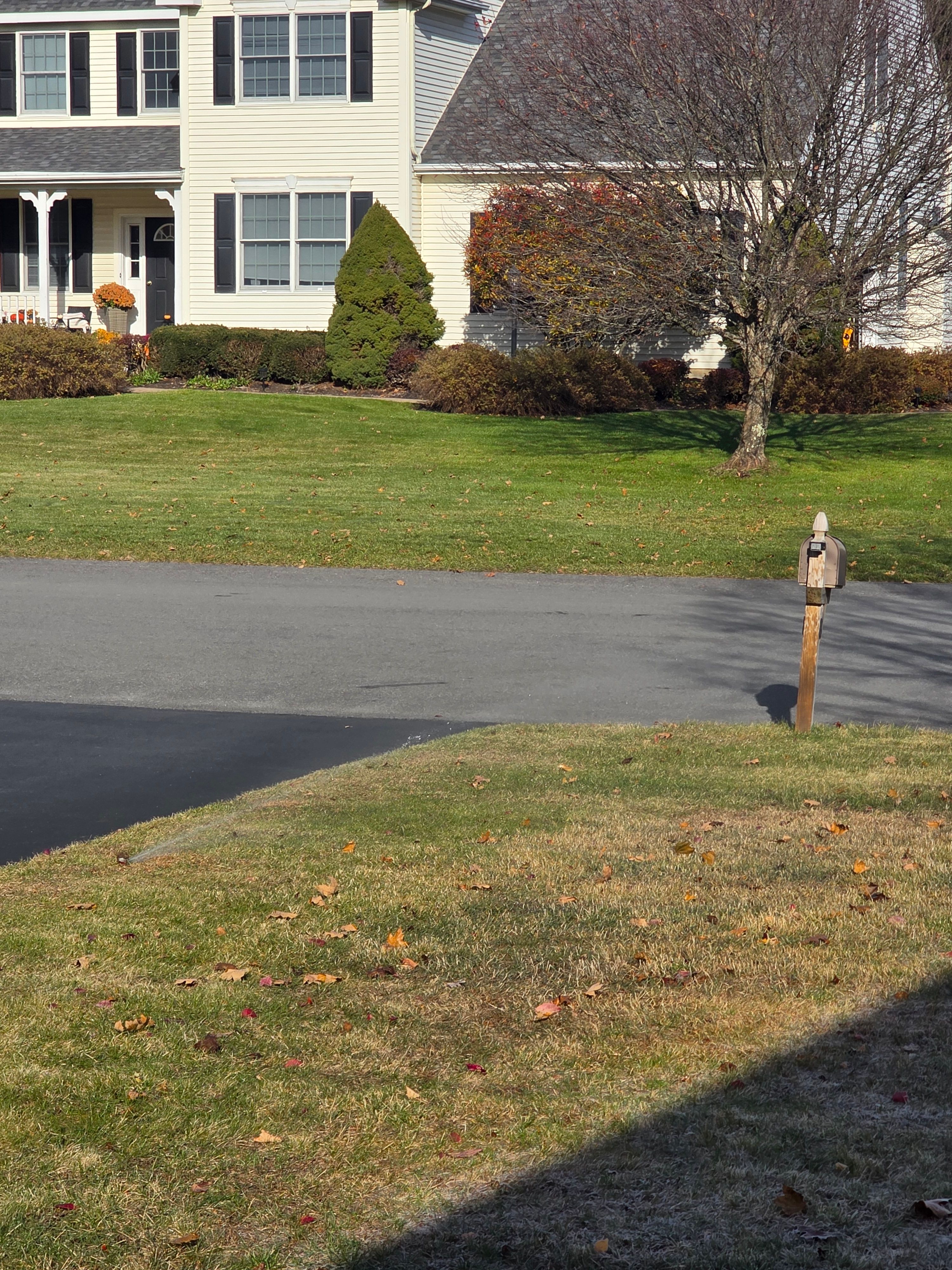  for Sweet Scapes in Ballston Spa, NY