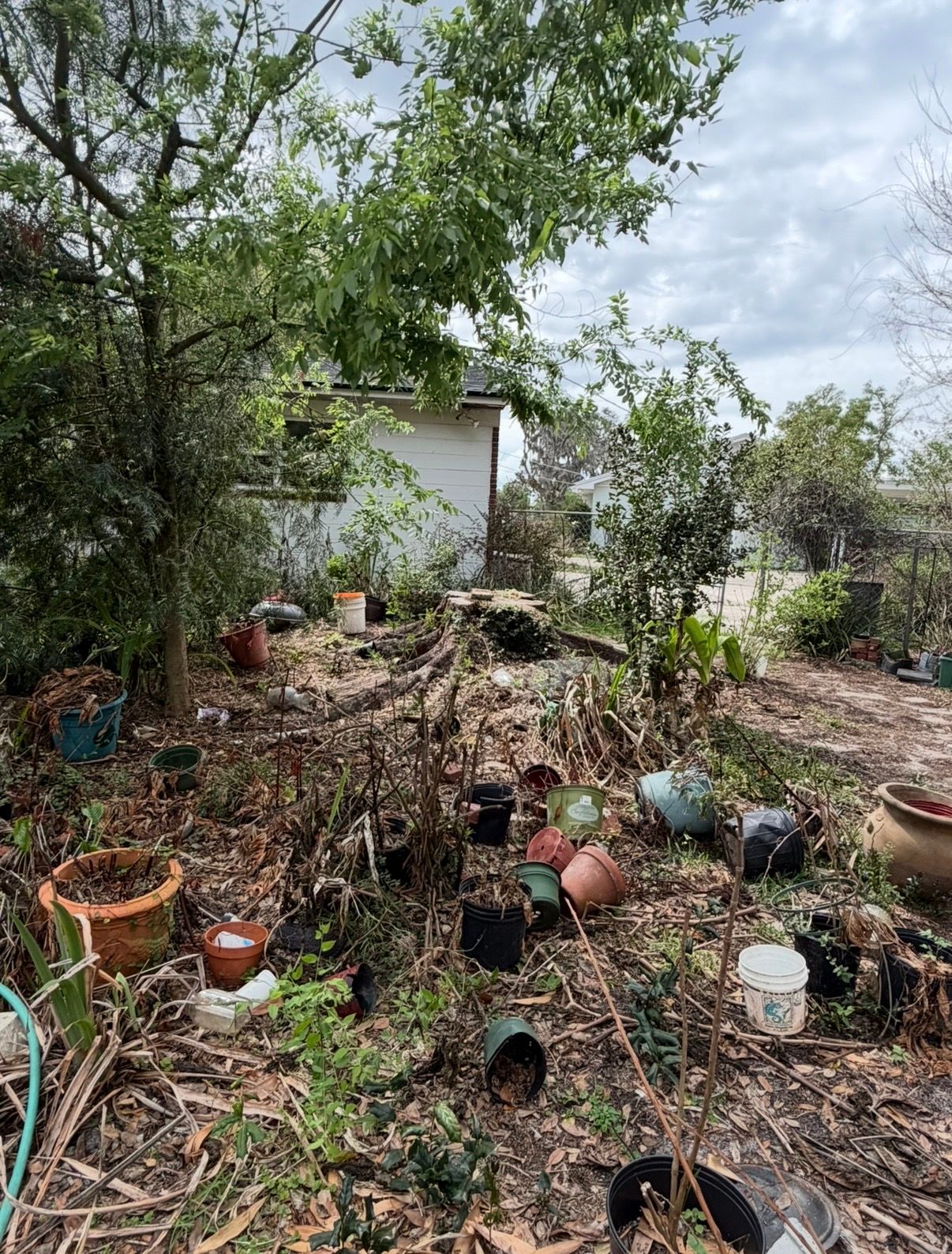  for Greene Acres Stump Grinding in Plant City, FL