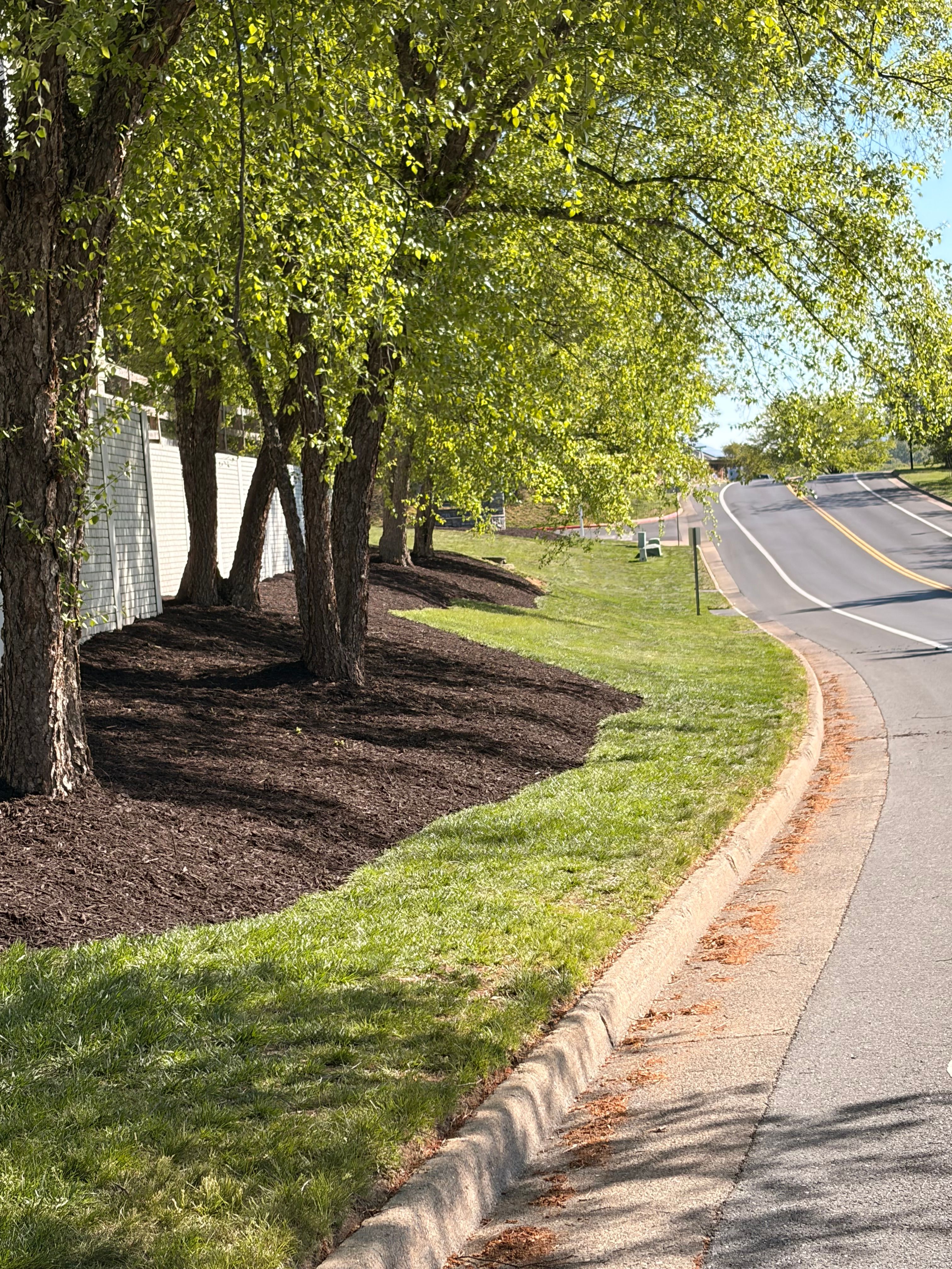  for Valencia’s Lawncare in Charlottesville, VA