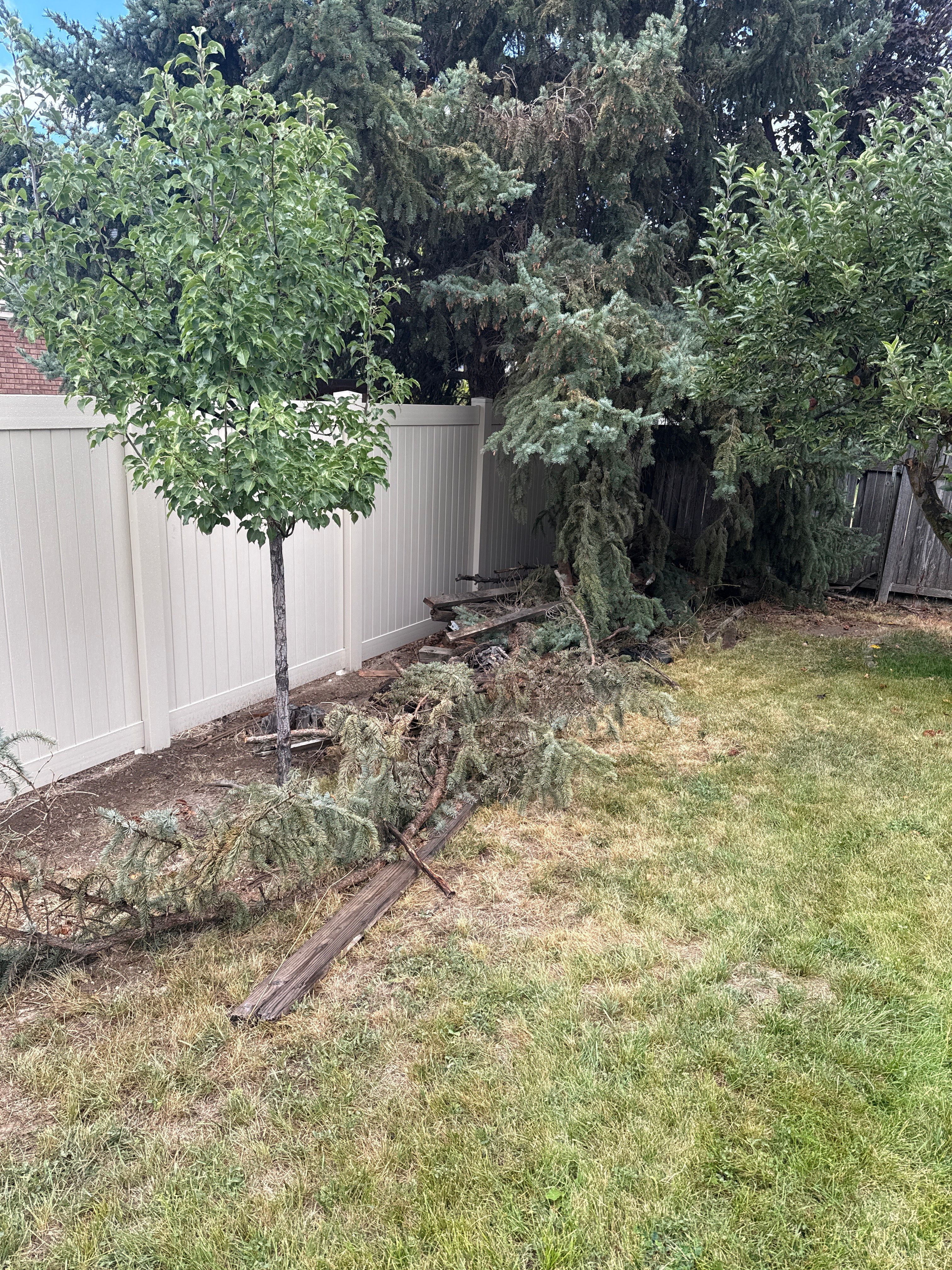  for Platinum Lawn Service in Santaquin, UT