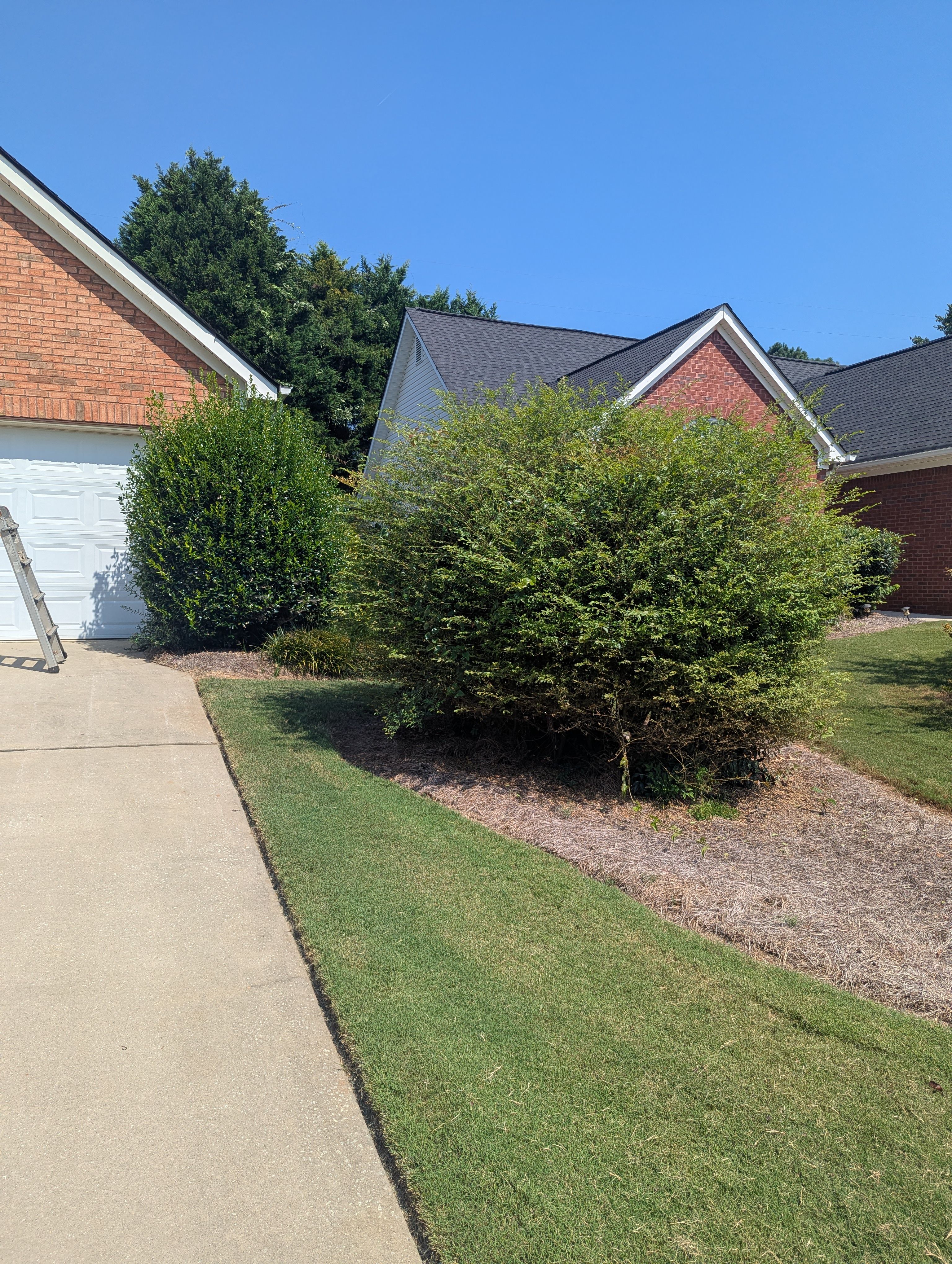  for Fantastic Lawn Care in Fayetteville, GA