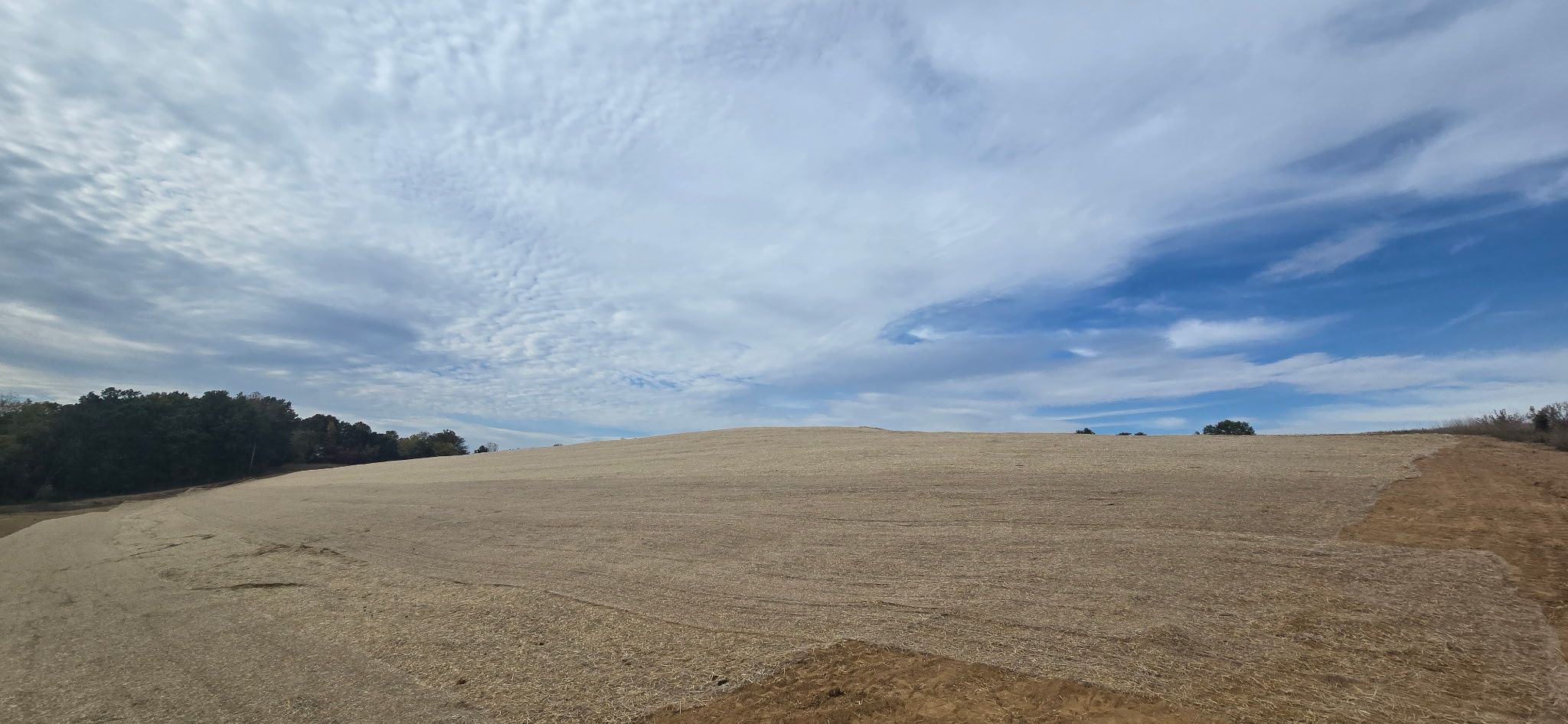  for Contemporary Landscape in St. Louis, MO