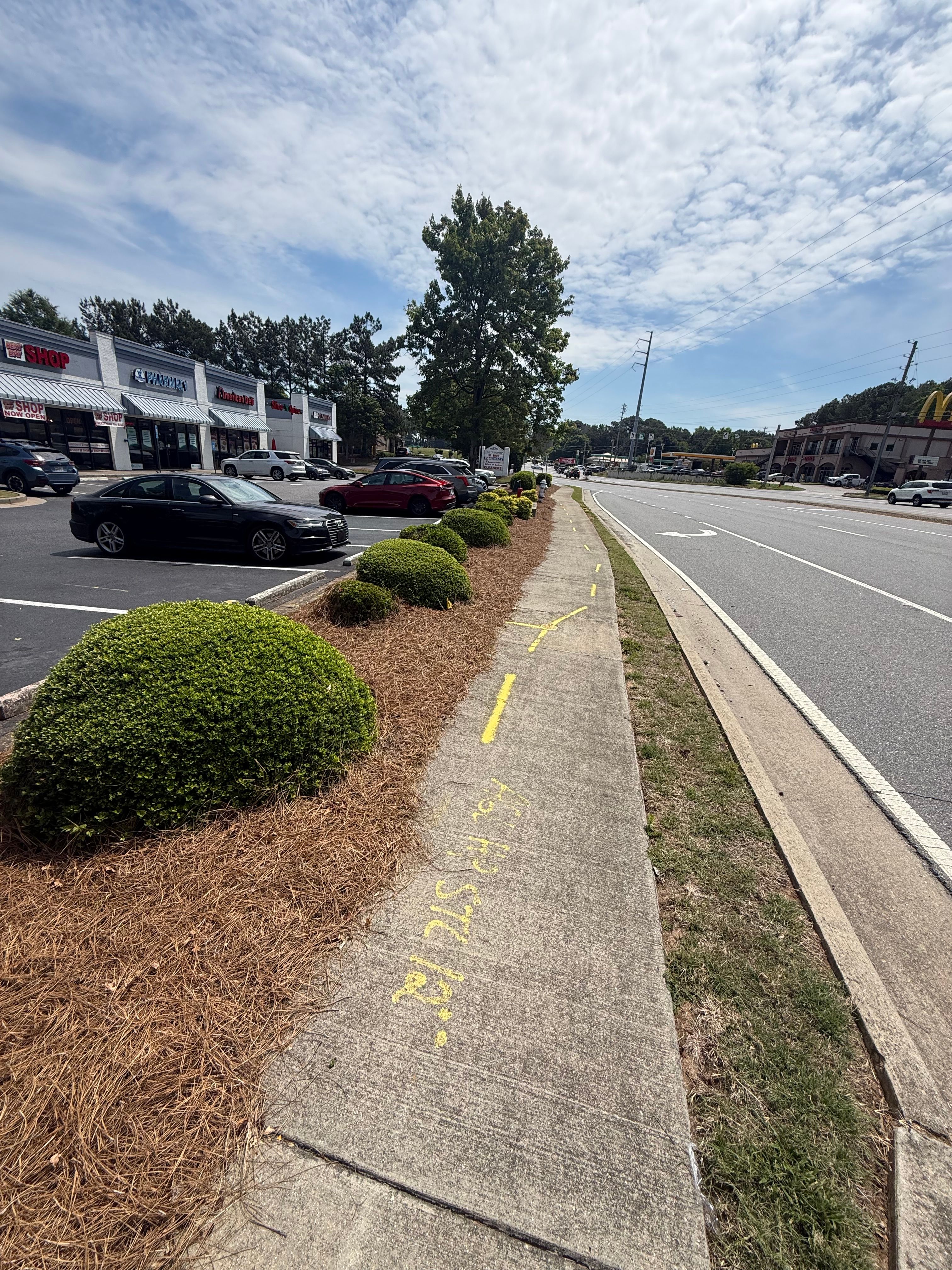 All Photos for Amerigreen Lawn & Landscape in Duluth, GA
