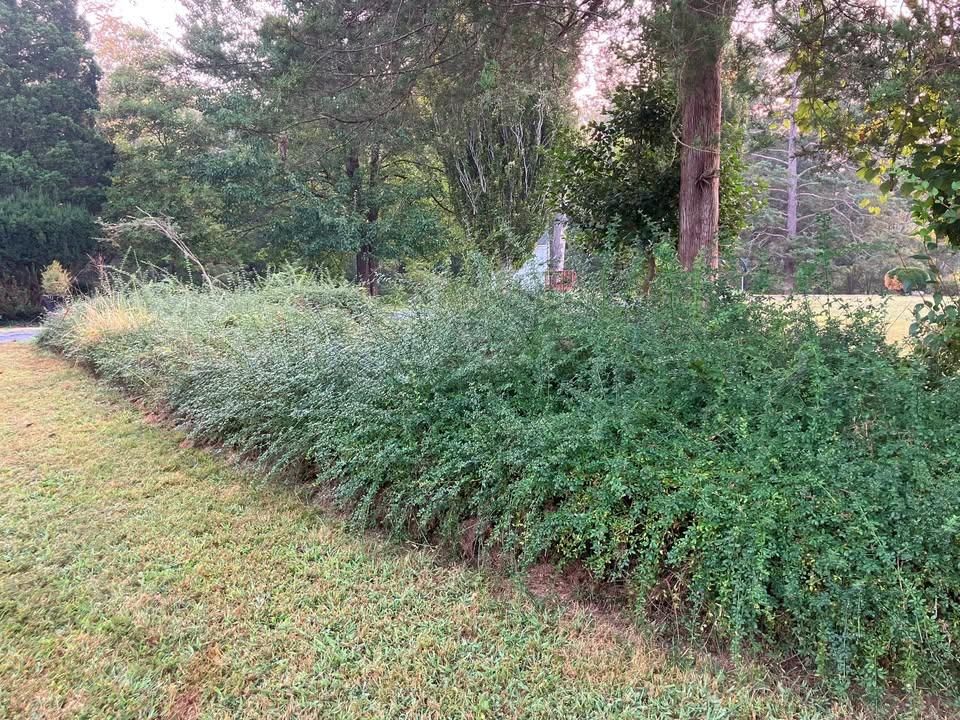  for 9999 Building and Renovation LLC in Warrenton, VA