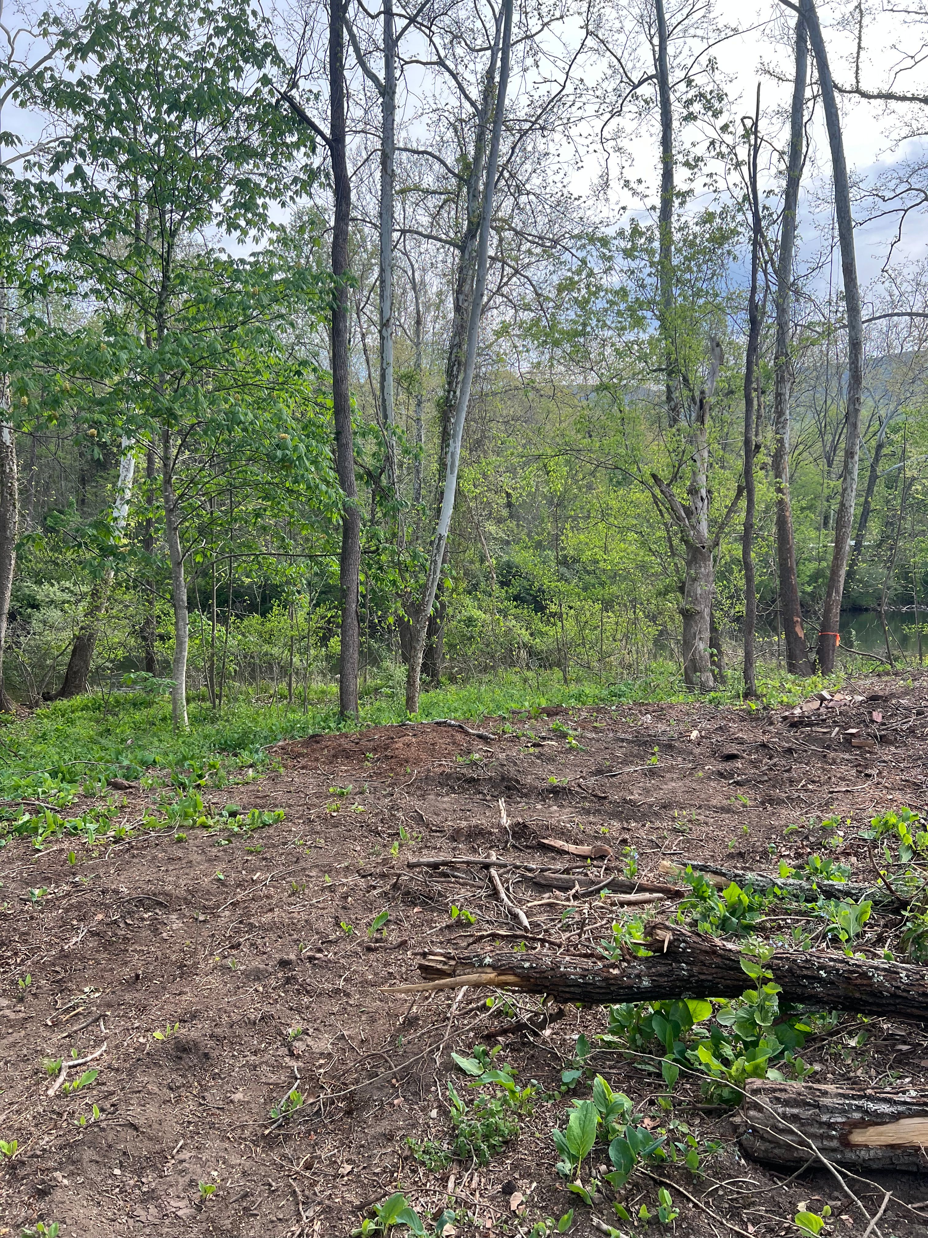 All Photos for Clarke Excavation Co. in Covington, VA