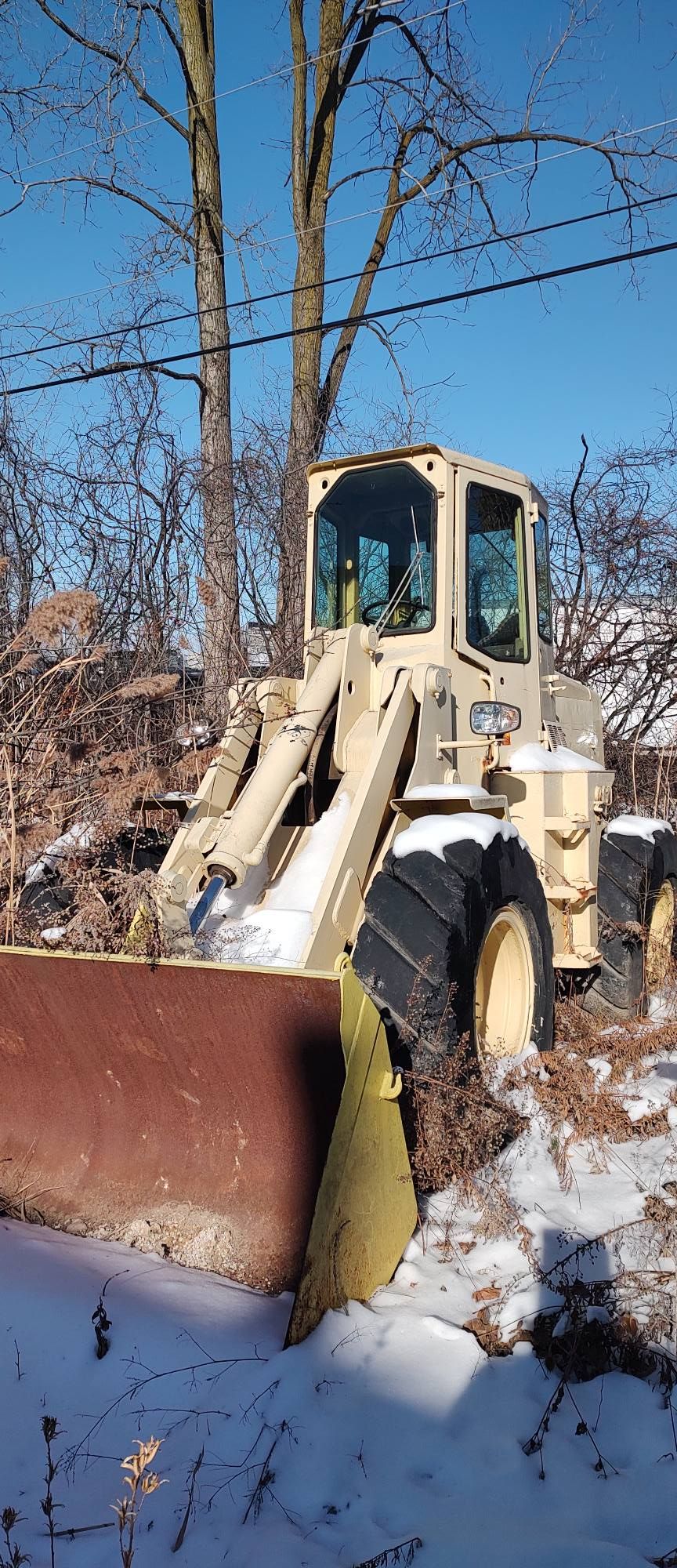 All Photos for American Property Preservation in Toledo, OH