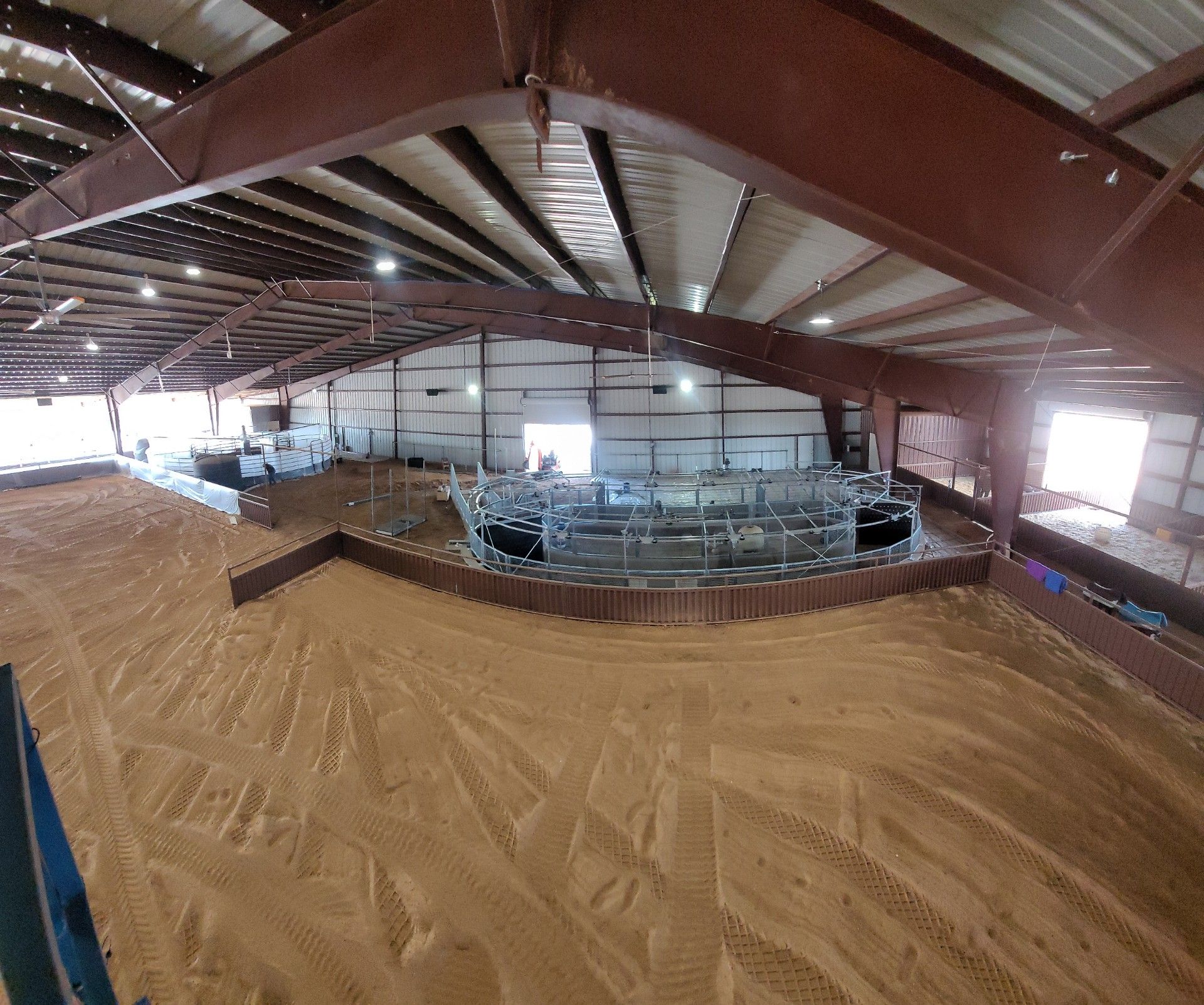  for Black Diamond Custom Pools LLC in Azle, TX