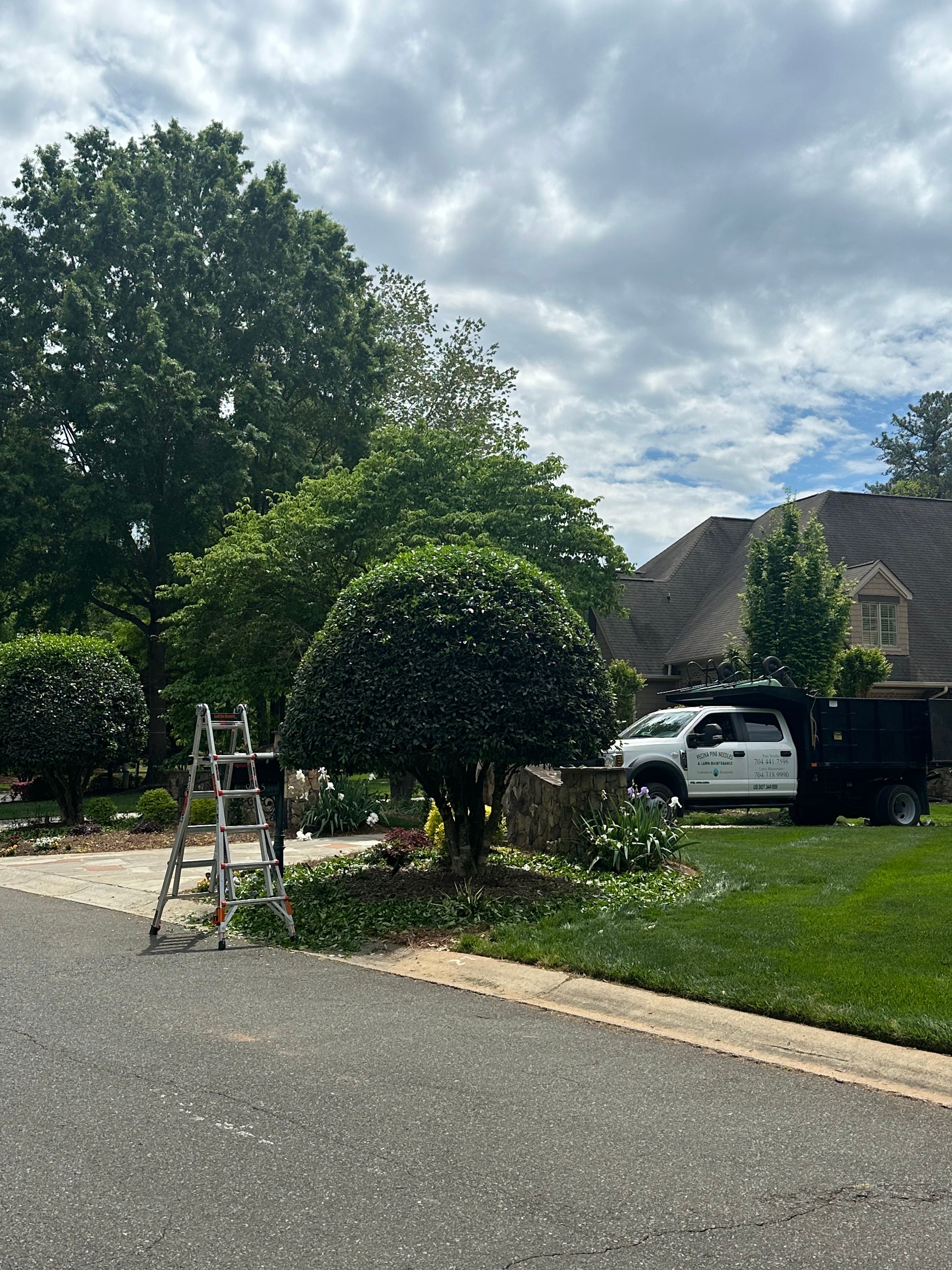  for Pecina Pine Needles in Monroe, NC