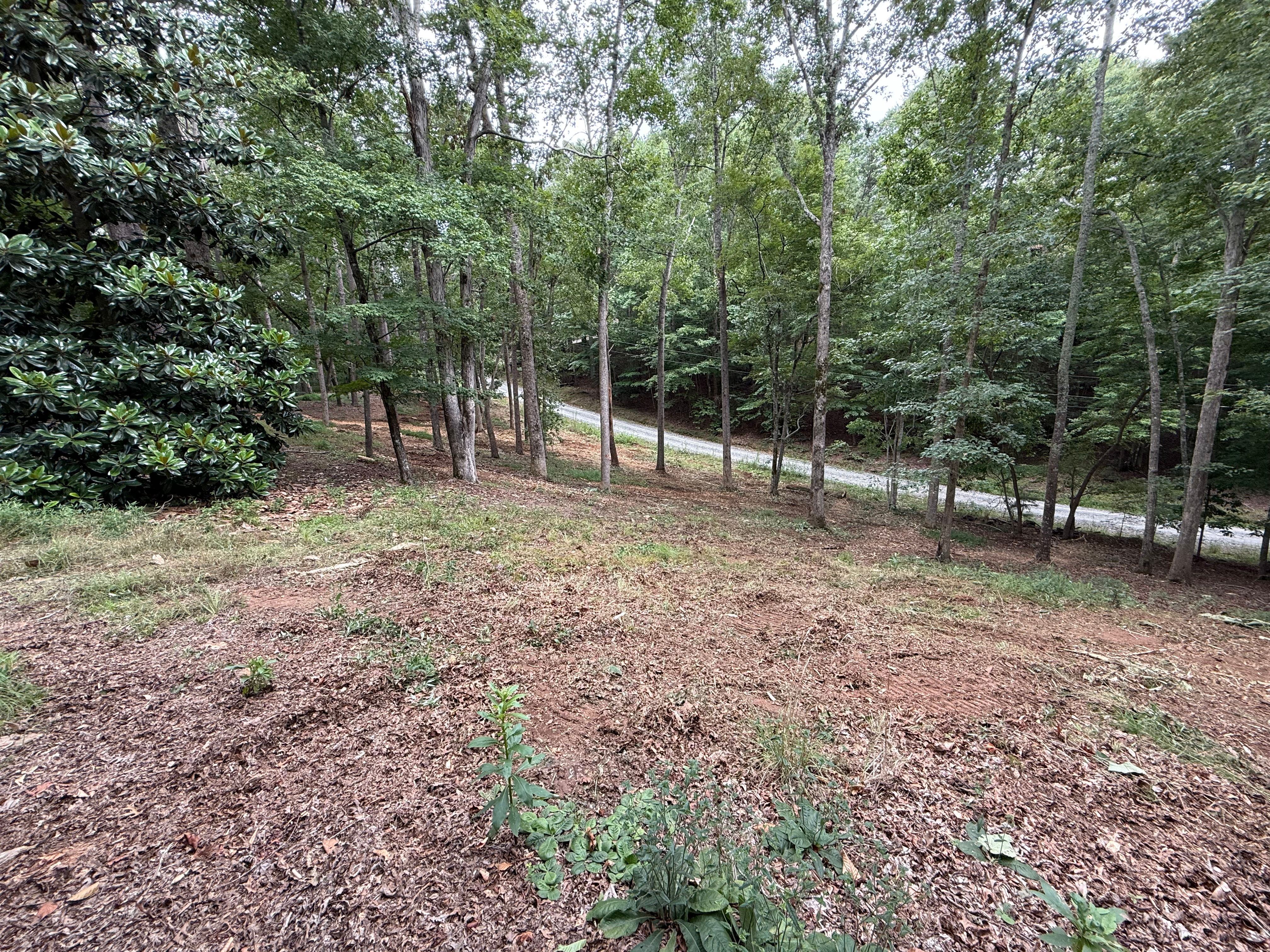  for T Crane Grading LLC in Clarkesville, GA