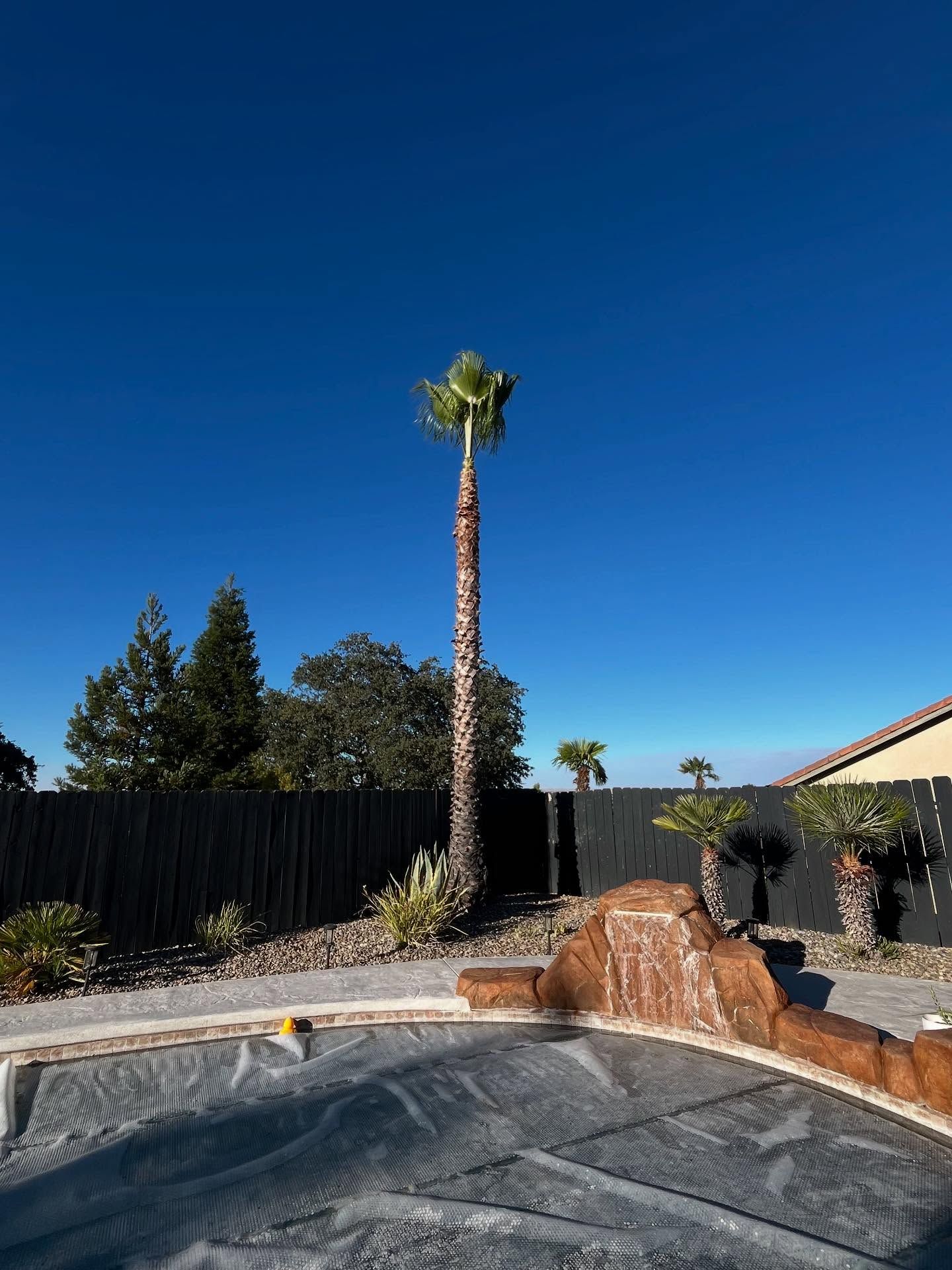  for A1 Junk & Tree Solutions, LLC in Paso Robles, CA