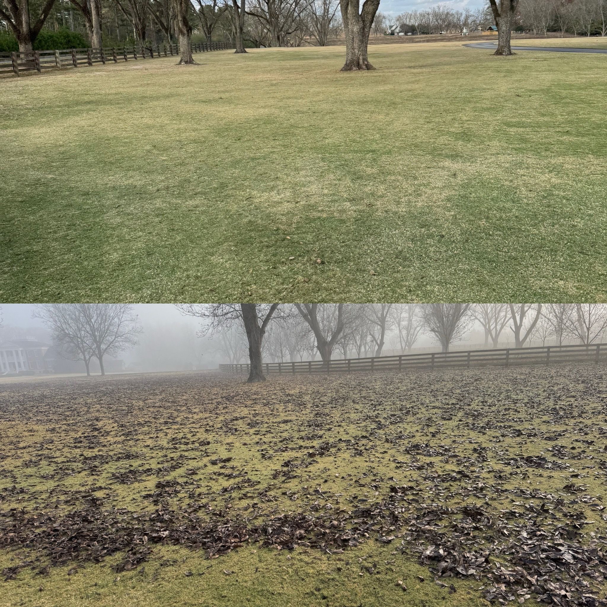 All Photos for Camalett Services in Perry, GA