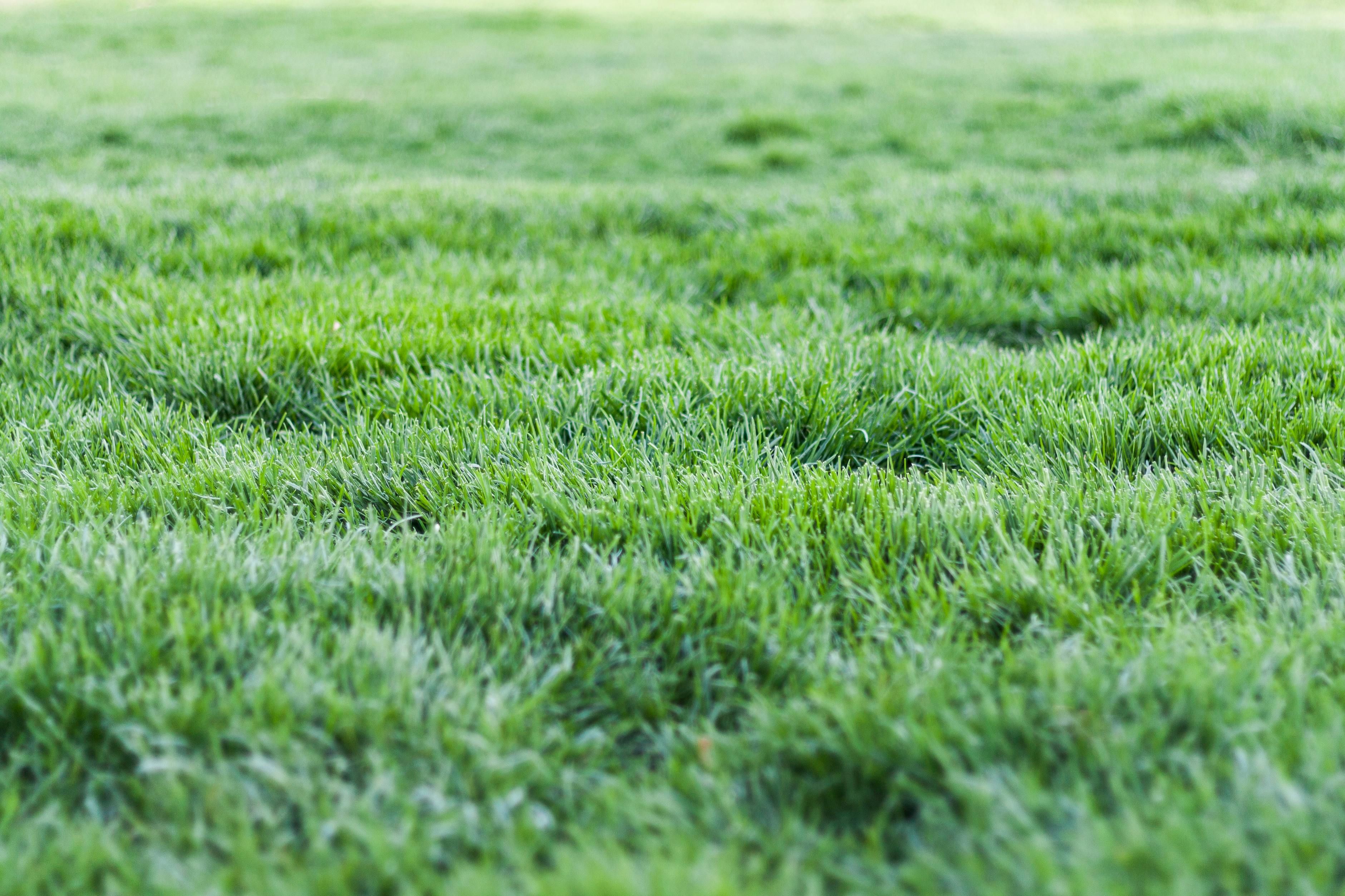  for Enabreeze Pressure Washing and Lawn Care in Hinesville, GA