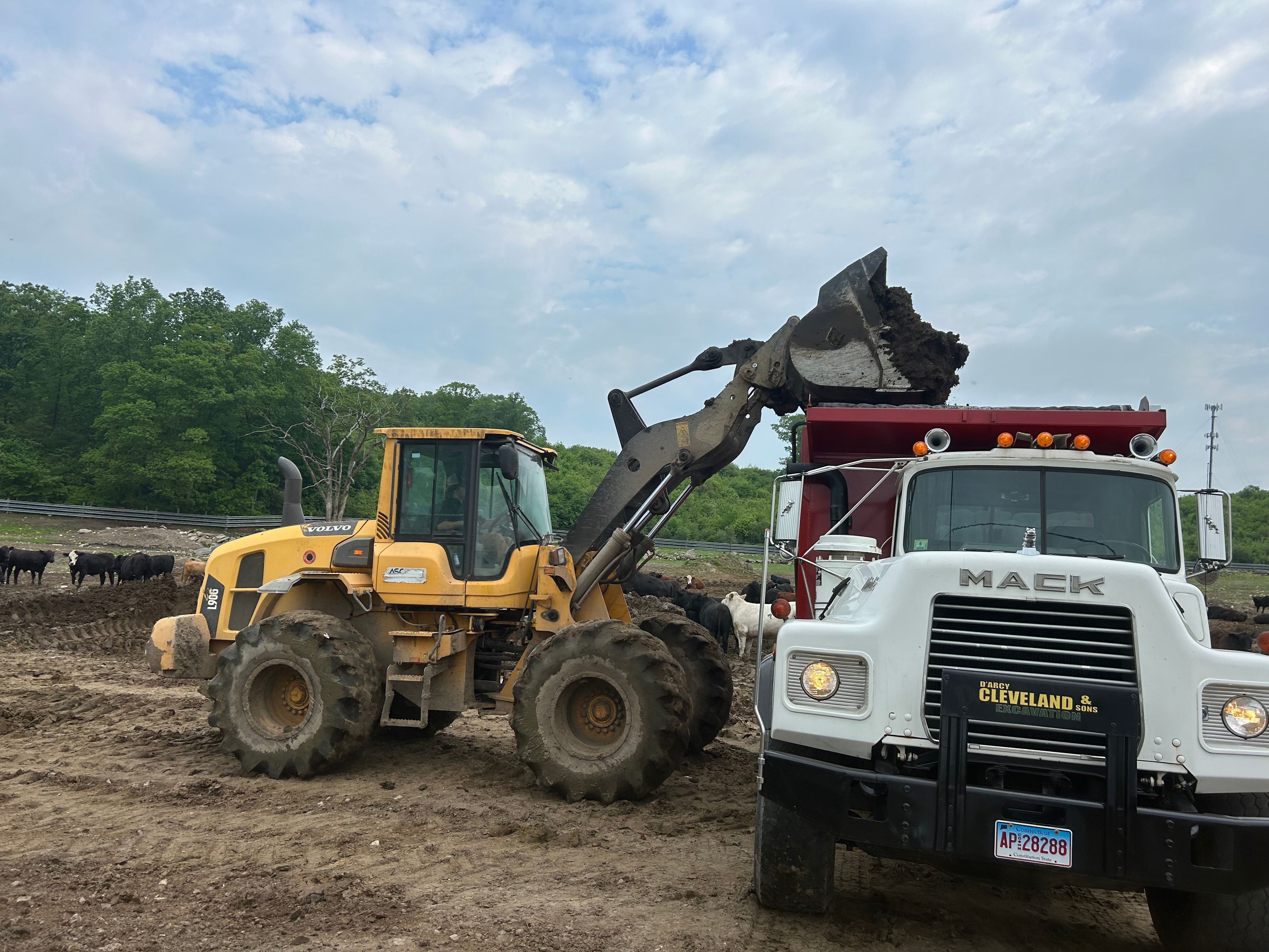 All Photos for DArcy  Cleveland & Sons Excavation LLC in Pawcatuck, CT