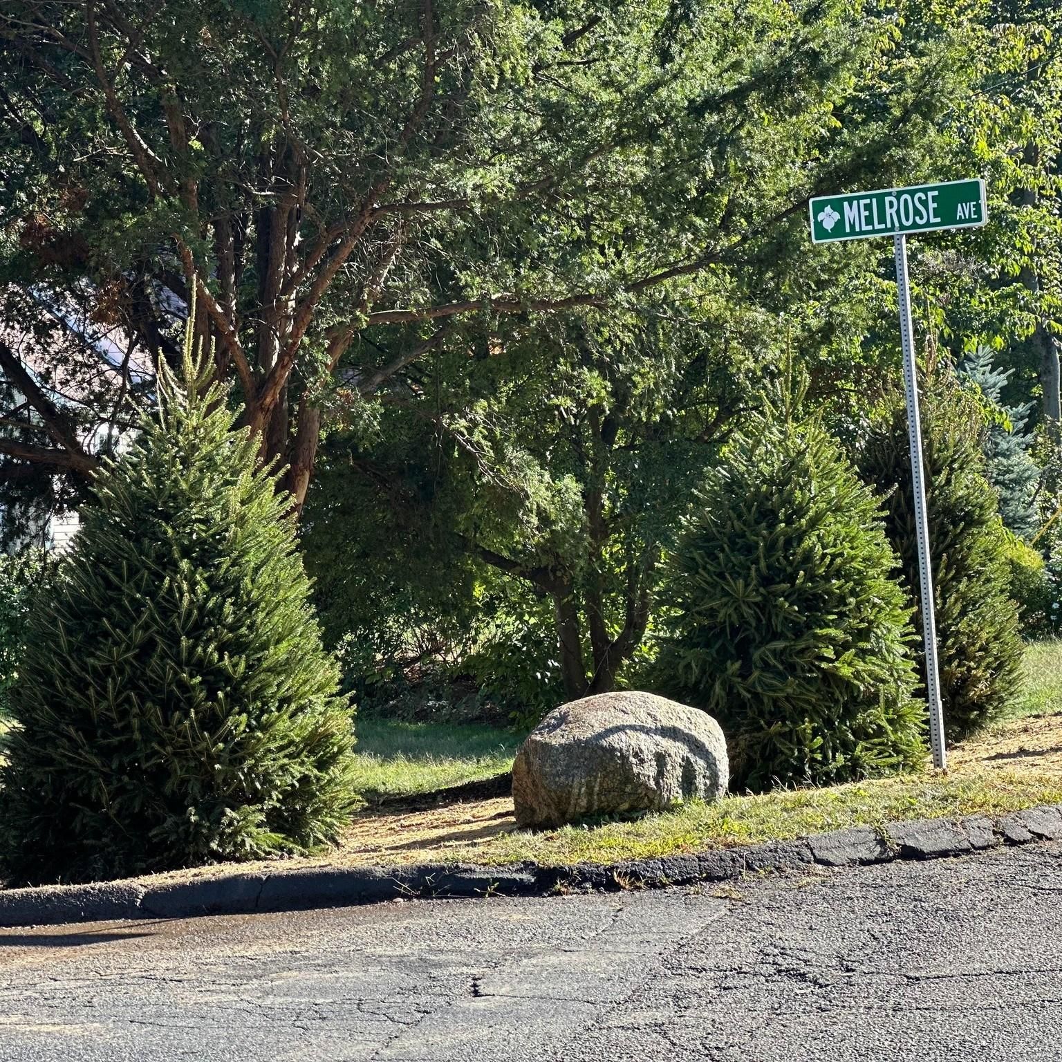  for Ace Landscaping in Trumbull, CT
